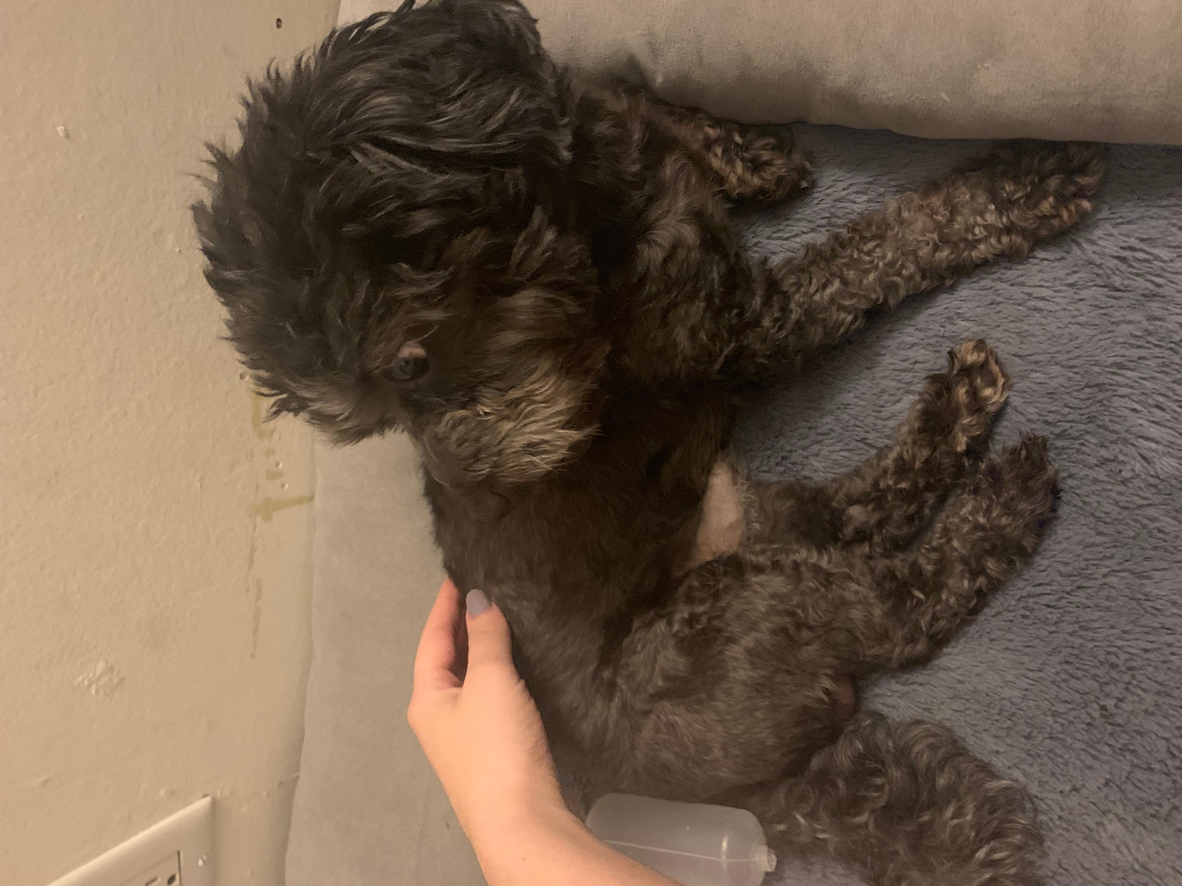 Question details sensitive content