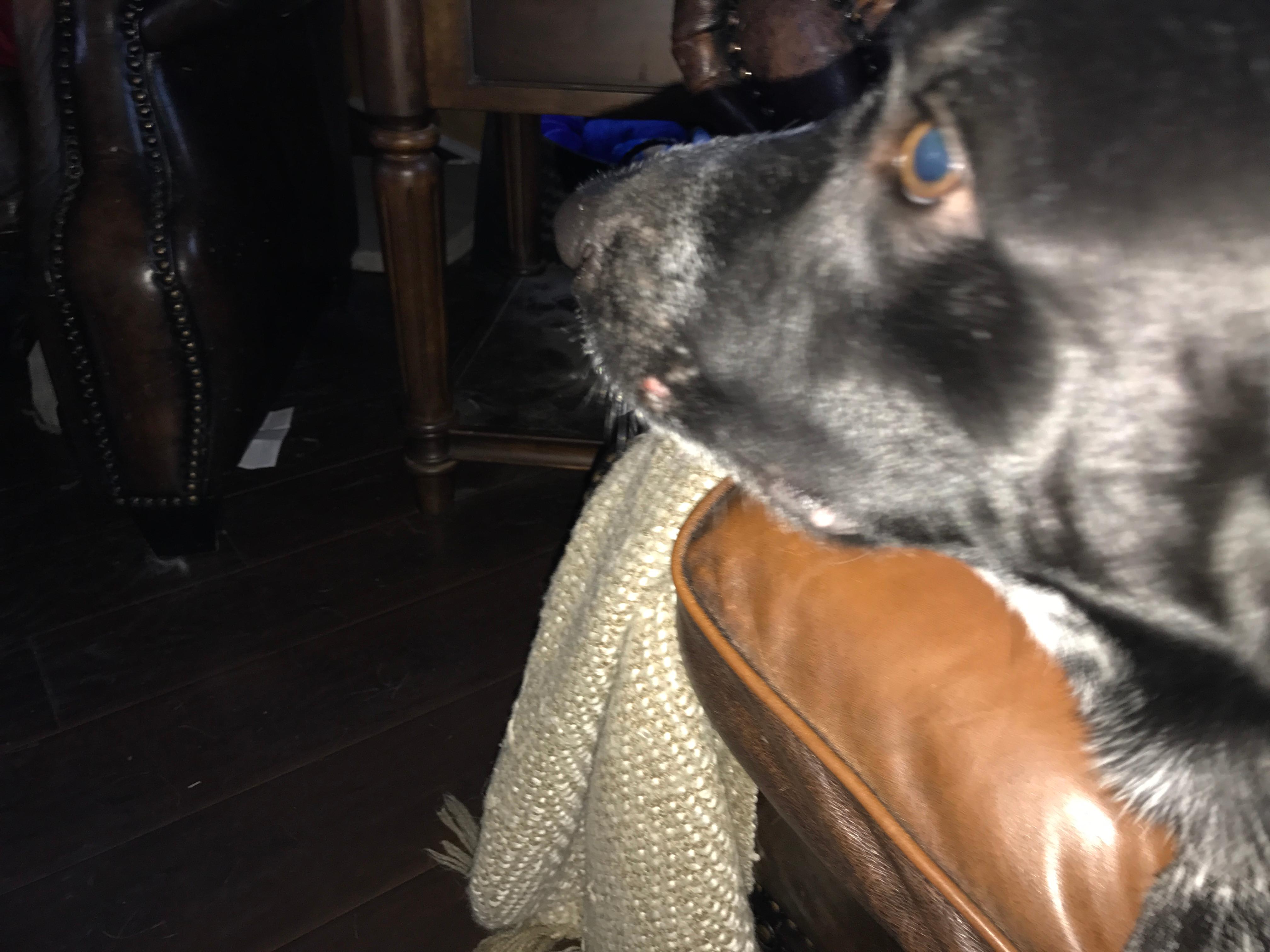 Question details sensitive content