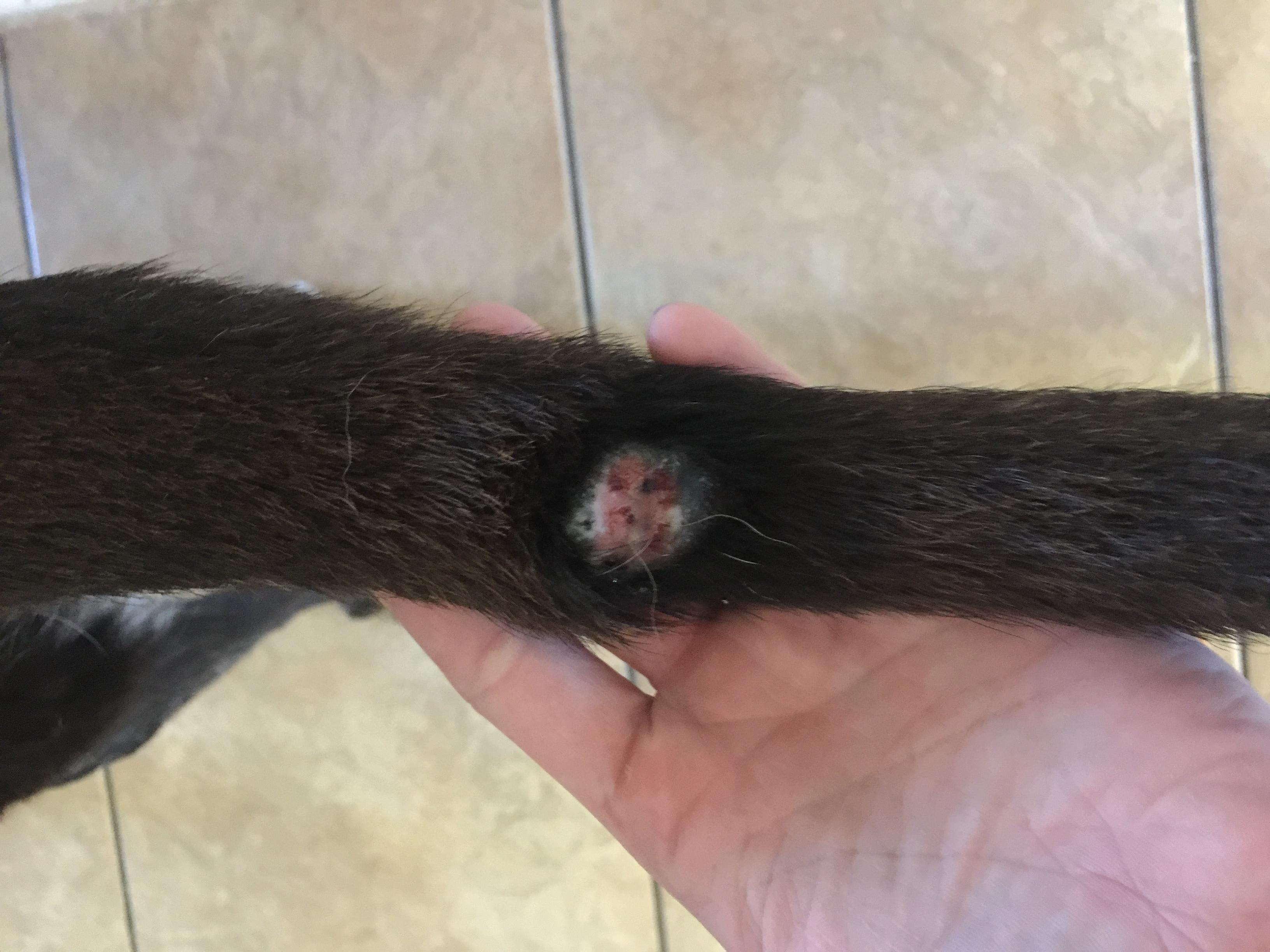 Question details sensitive content