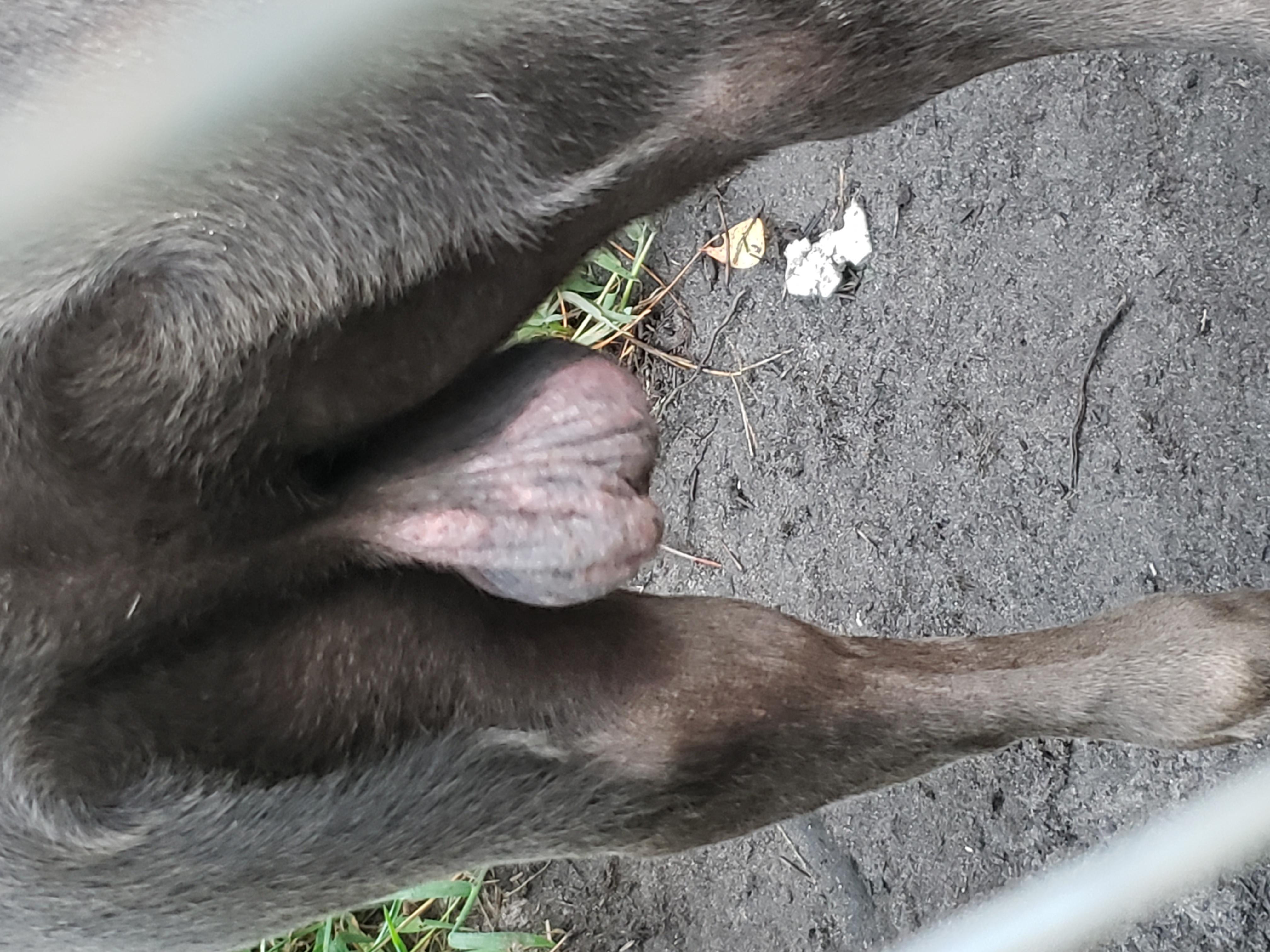 Question details sensitive content