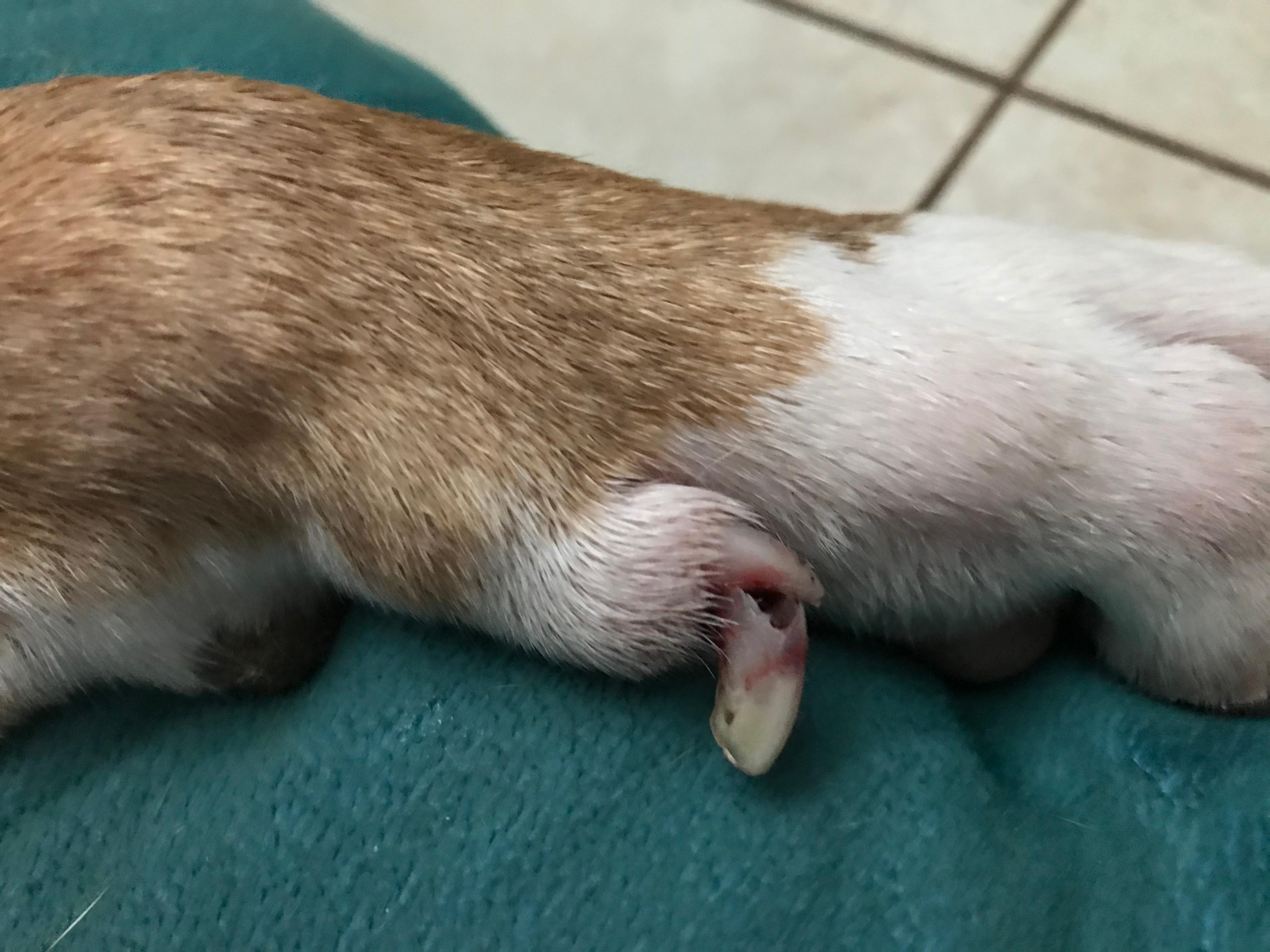 Question details sensitive content