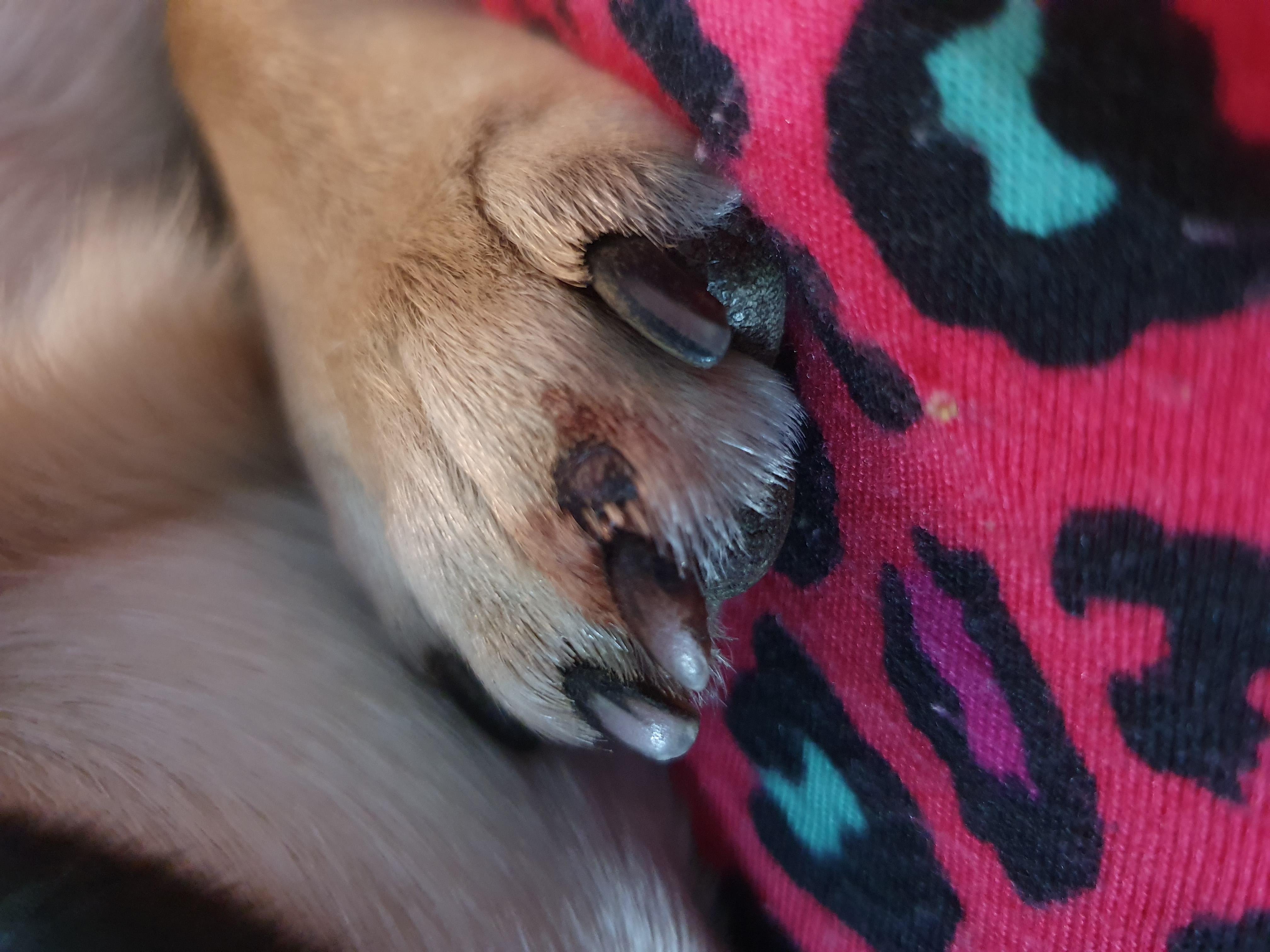 Question details sensitive content