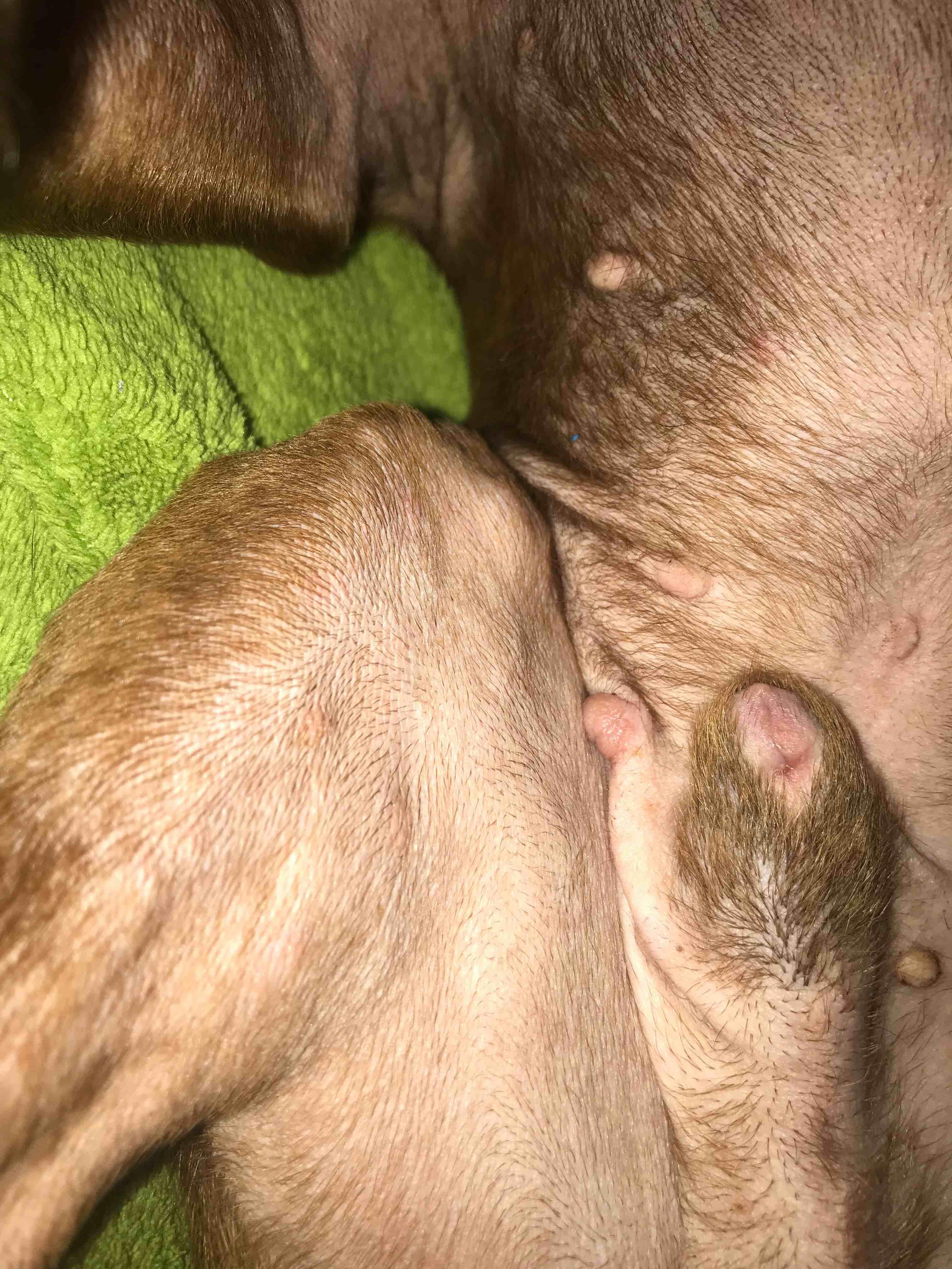 Question details sensitive content