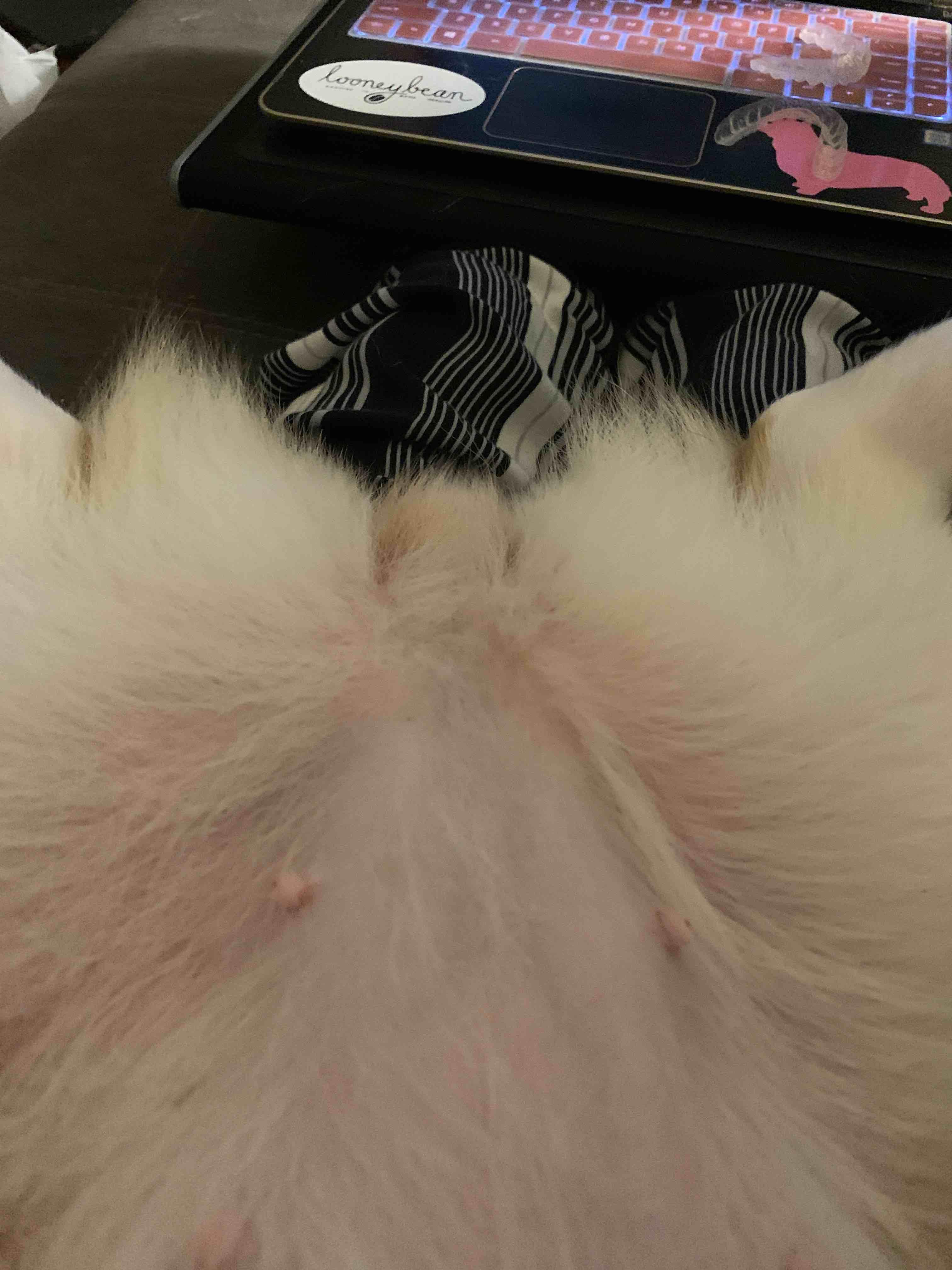 Question details sensitive content