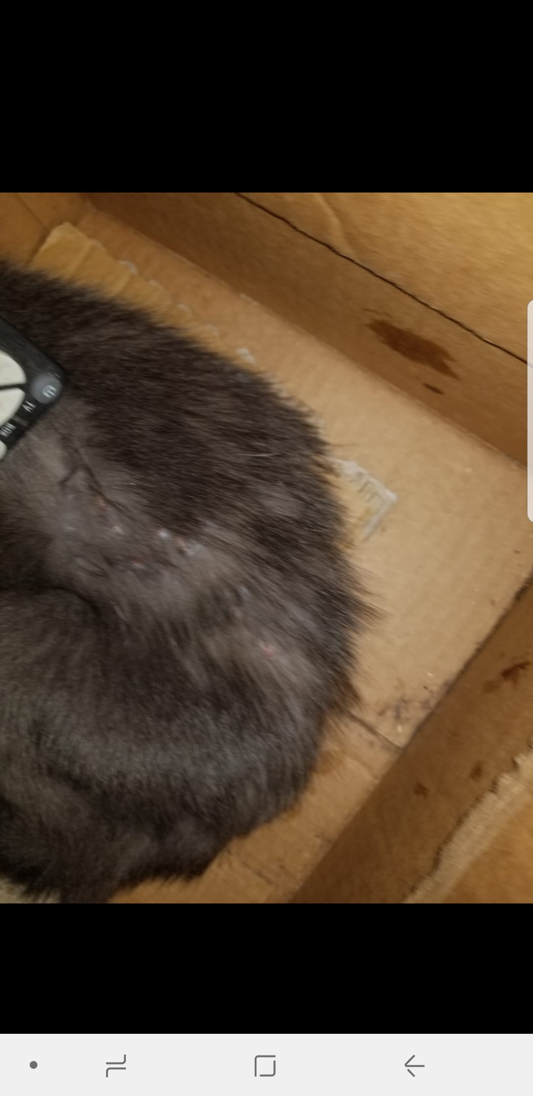 Question details sensitive content