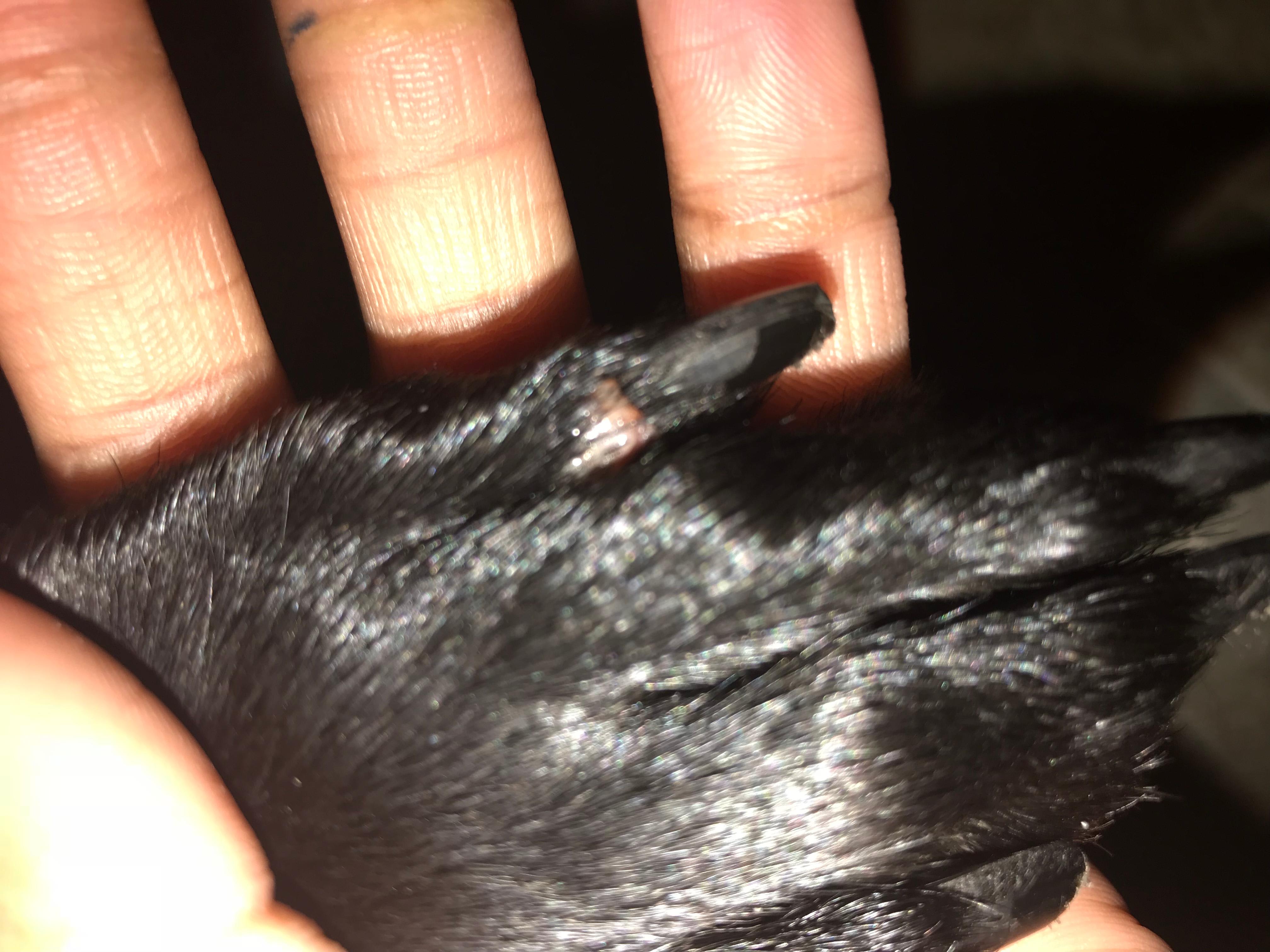 Question details sensitive content