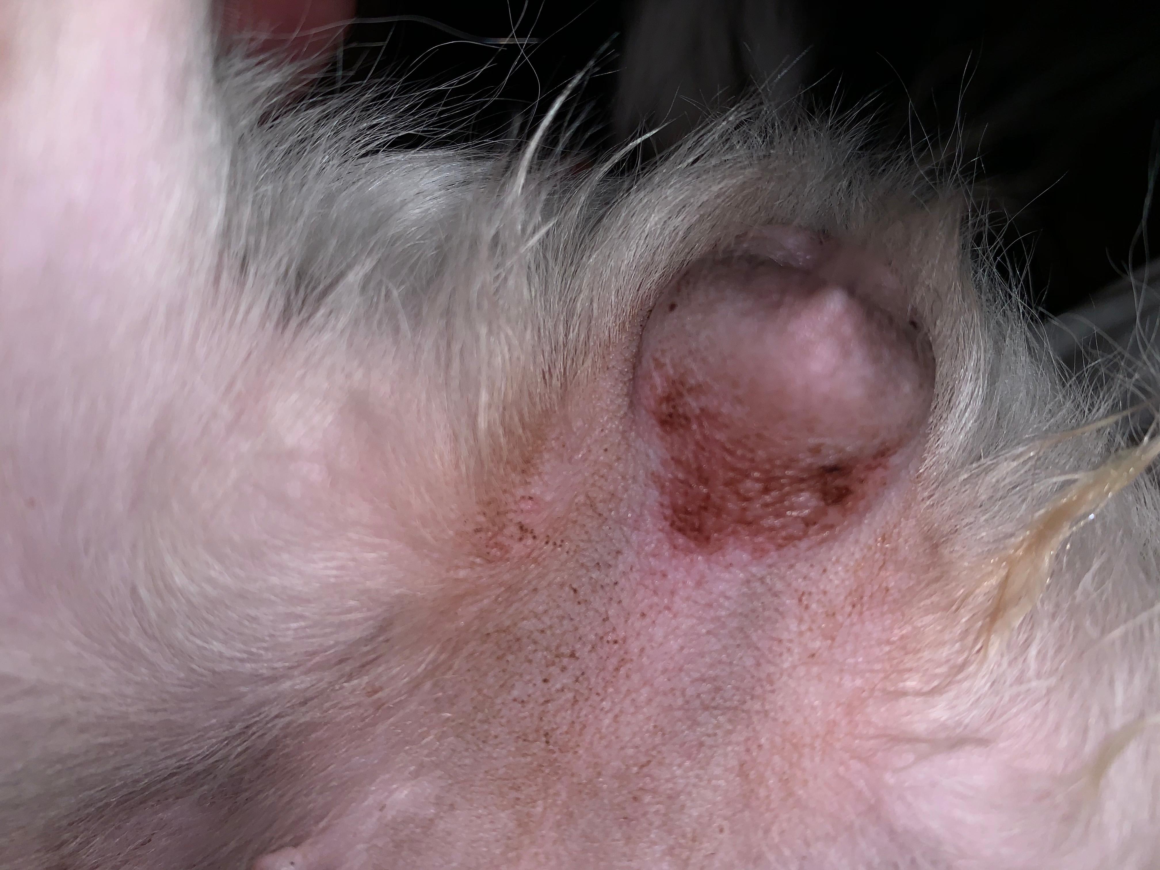 Question details sensitive content