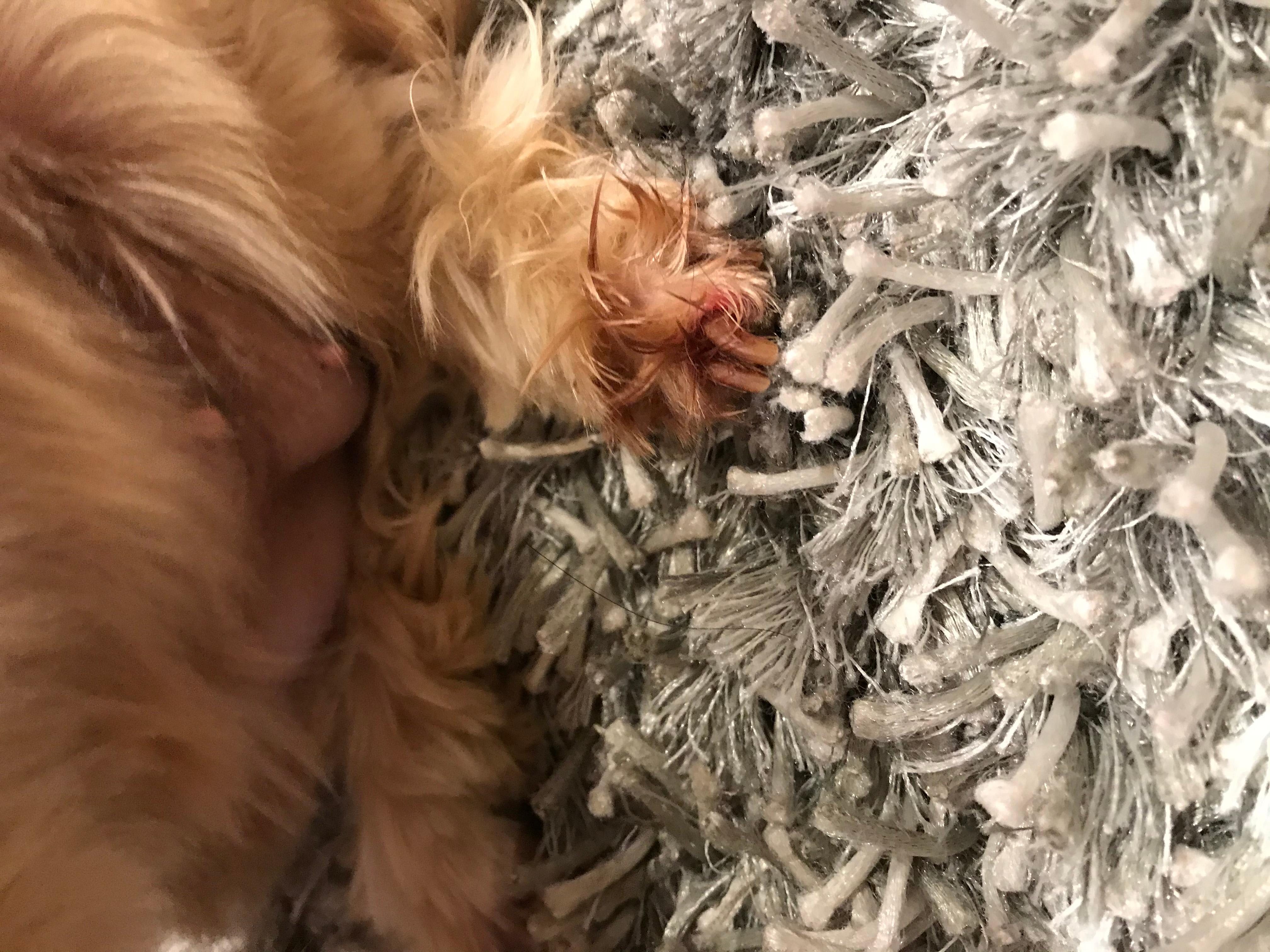 Question details sensitive content