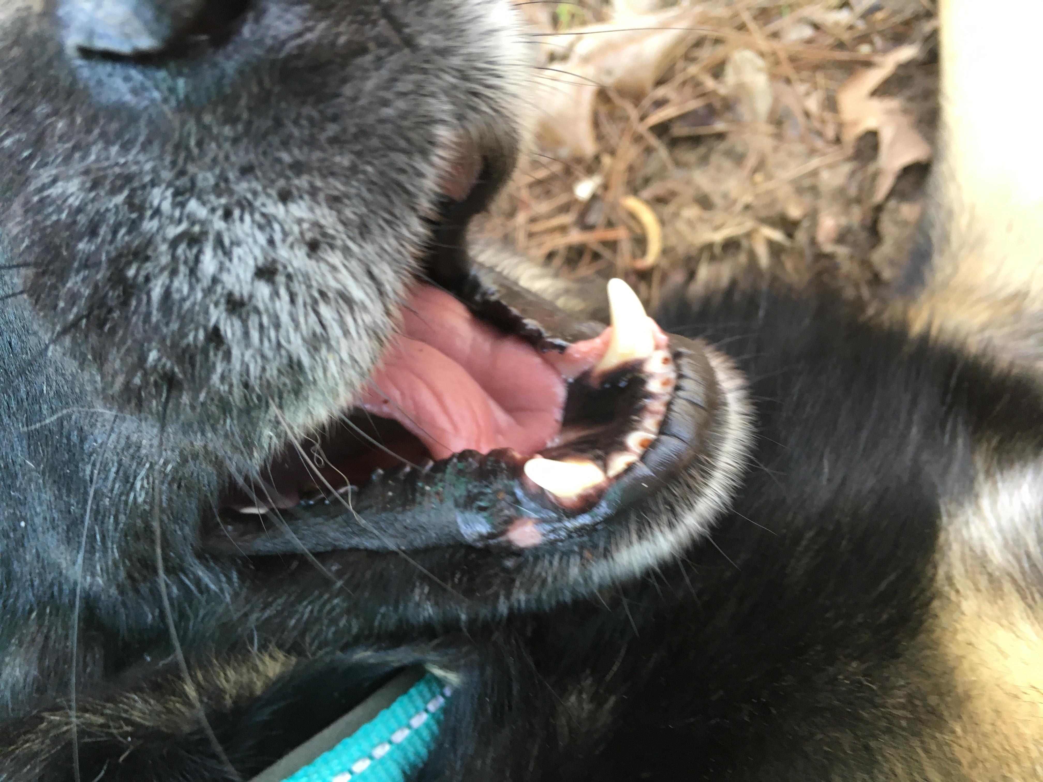 Question details sensitive content