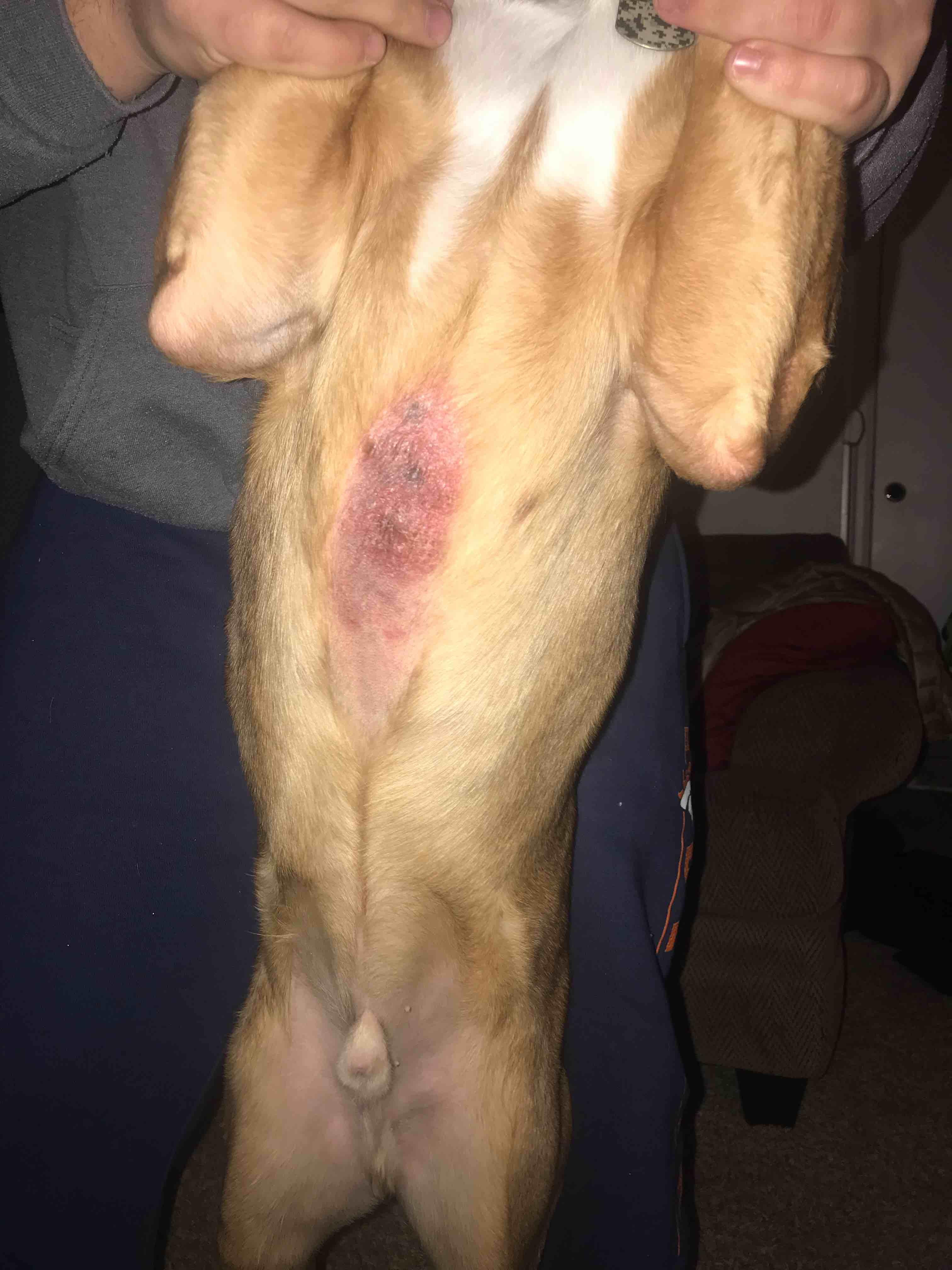 Question details sensitive content