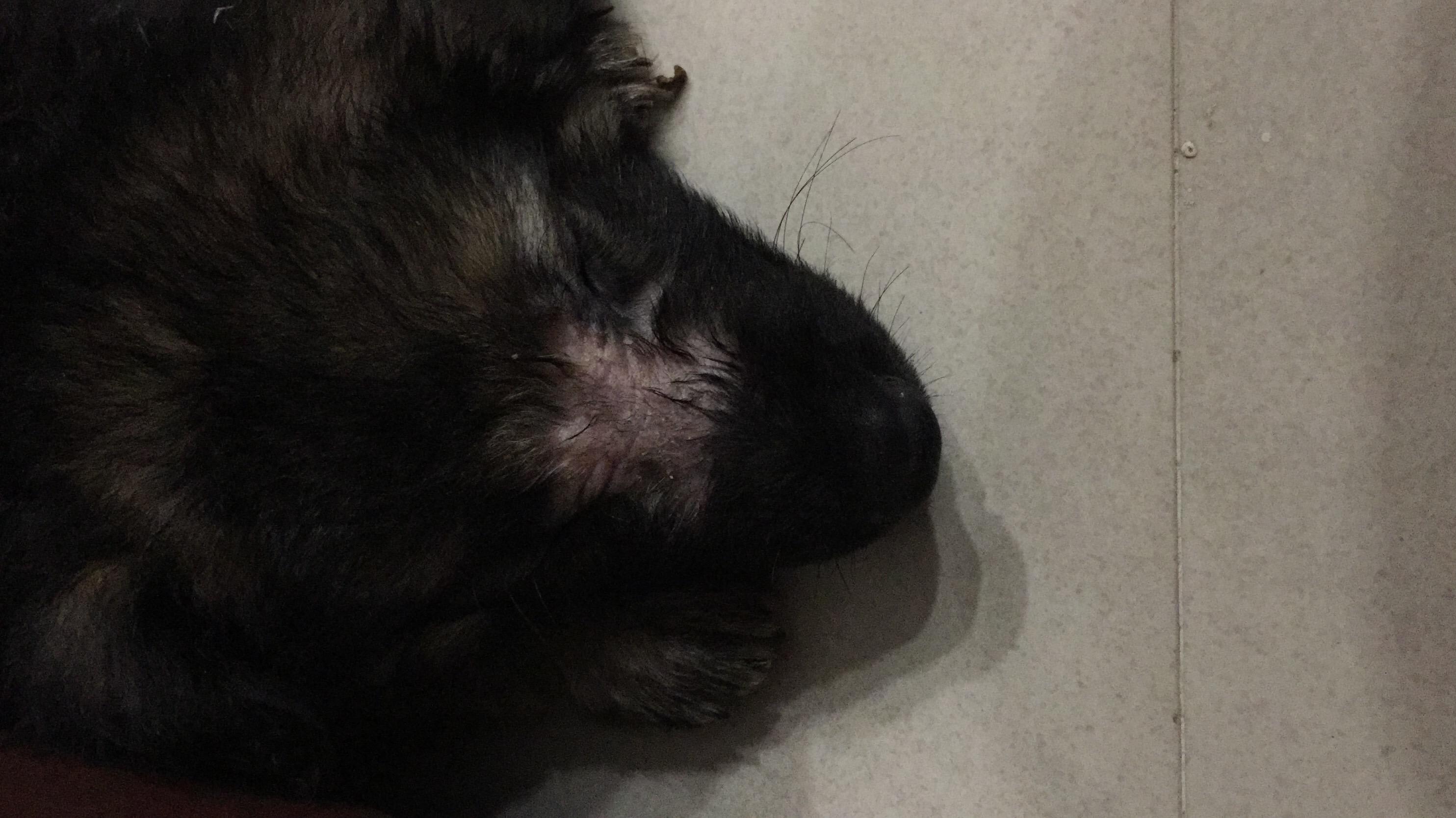 Question details sensitive content