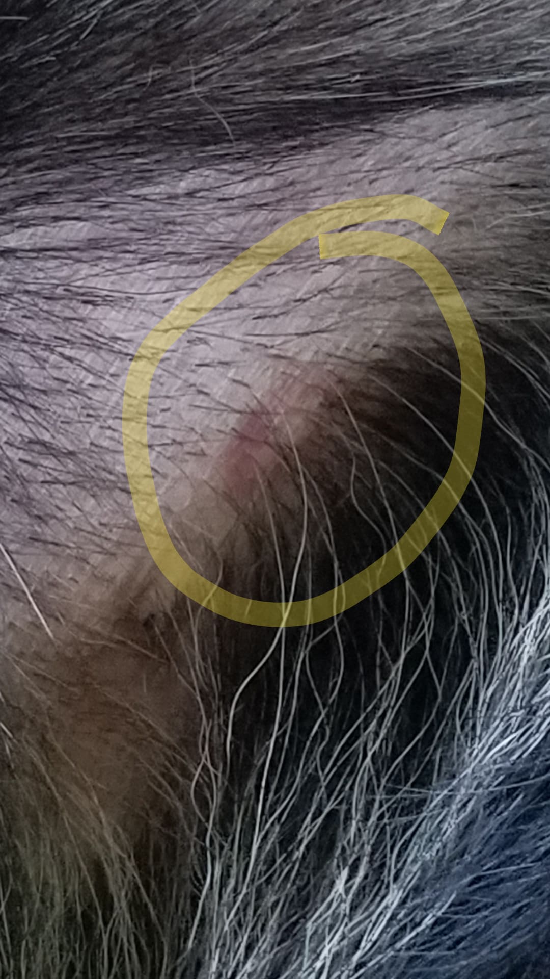 Question details sensitive content