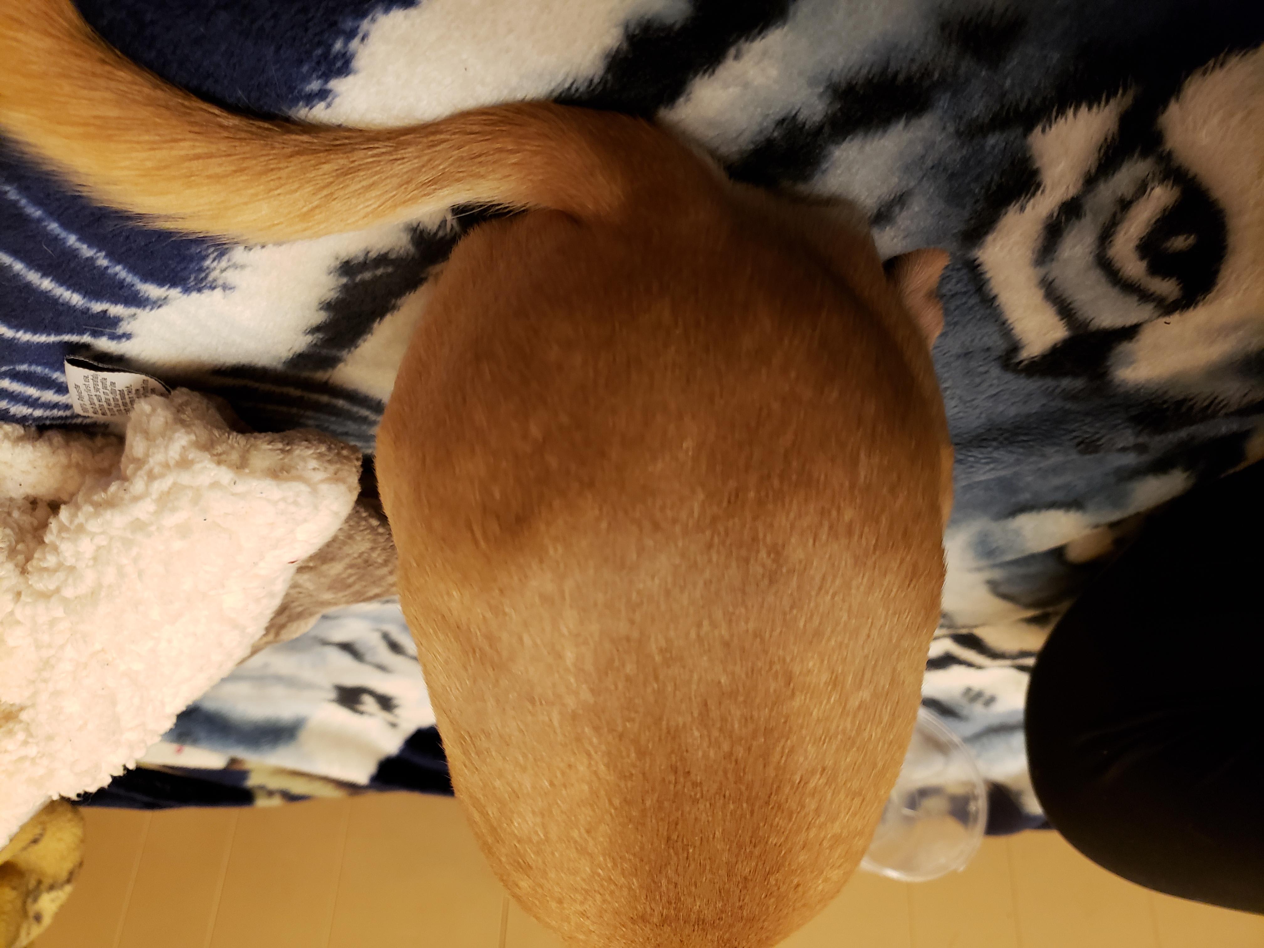 Question details sensitive content