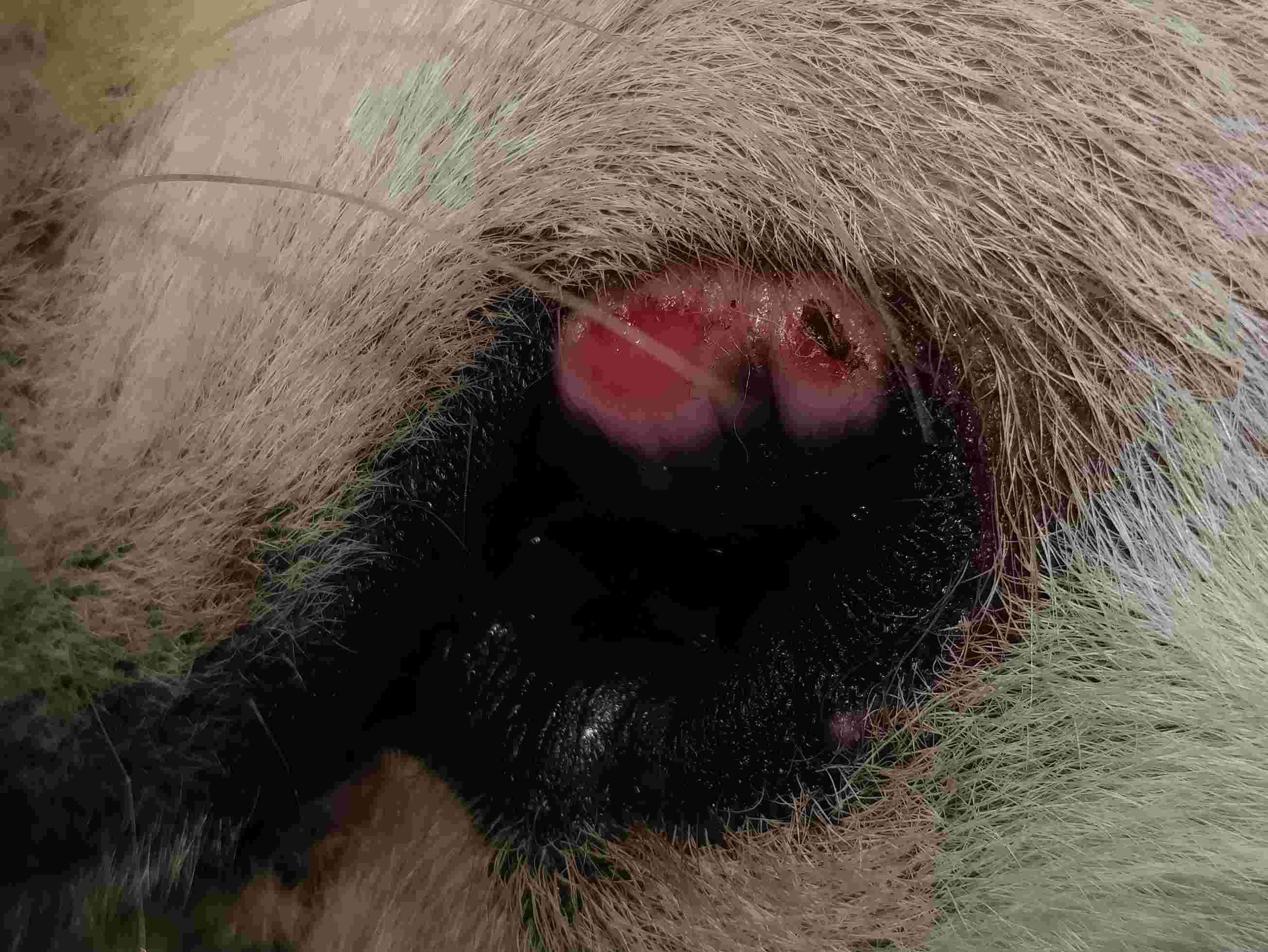 Question details sensitive content