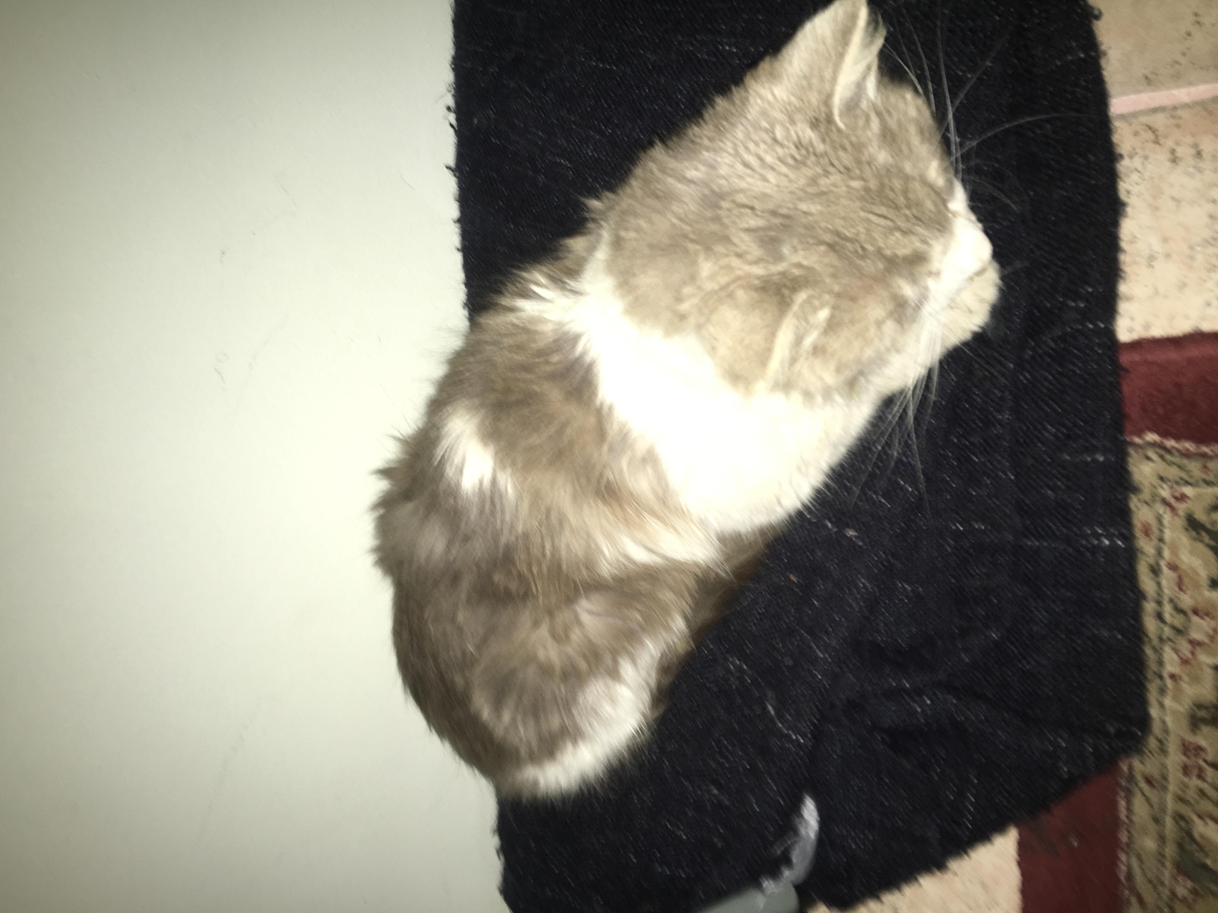 Question details sensitive content