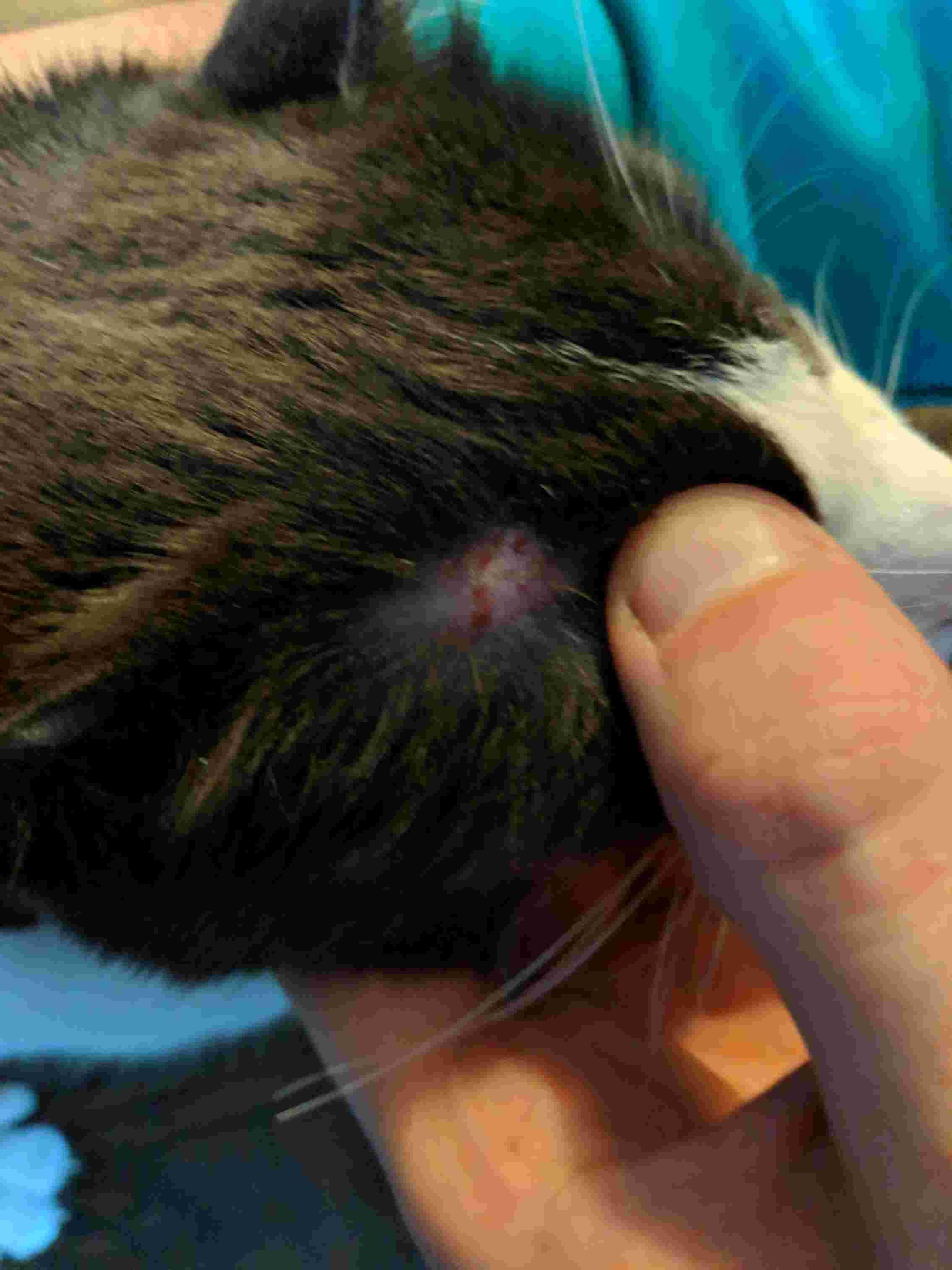 Question details sensitive content