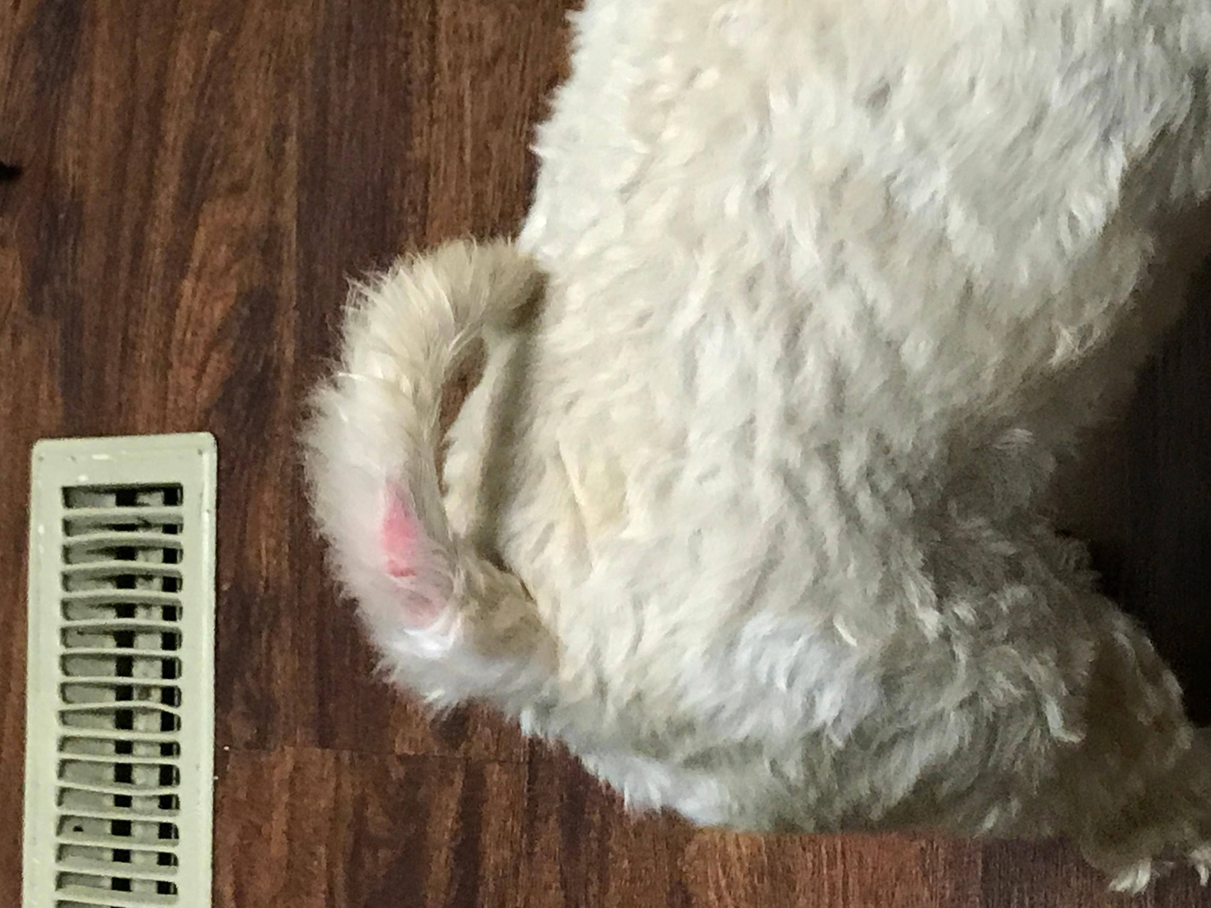 Question details sensitive content