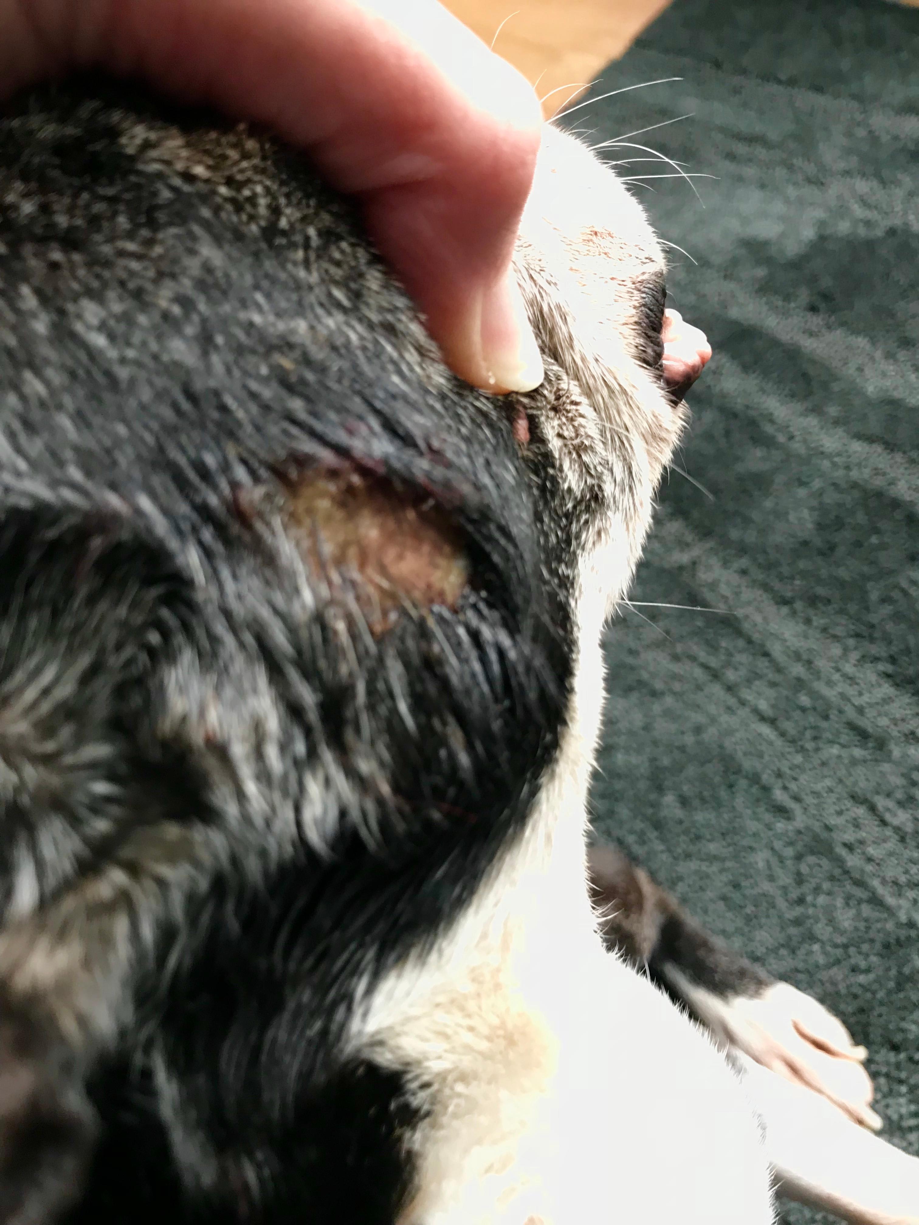 Question details sensitive content