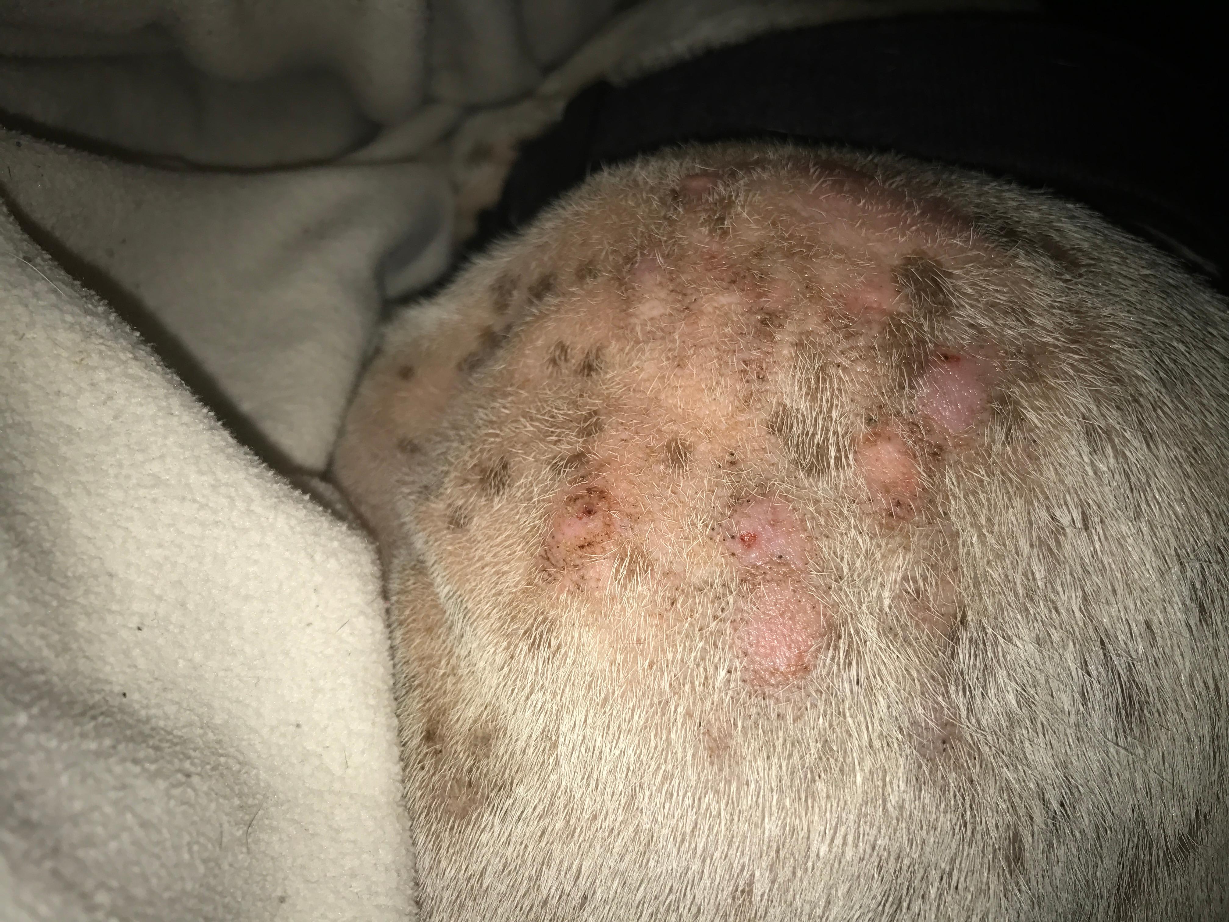 Question details sensitive content