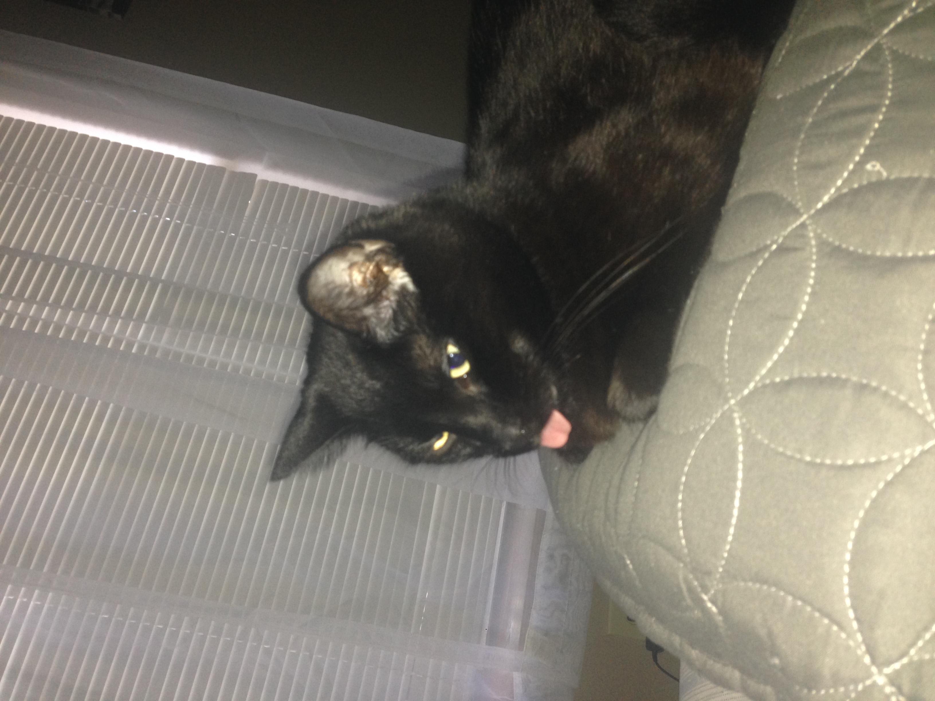 Question details sensitive content