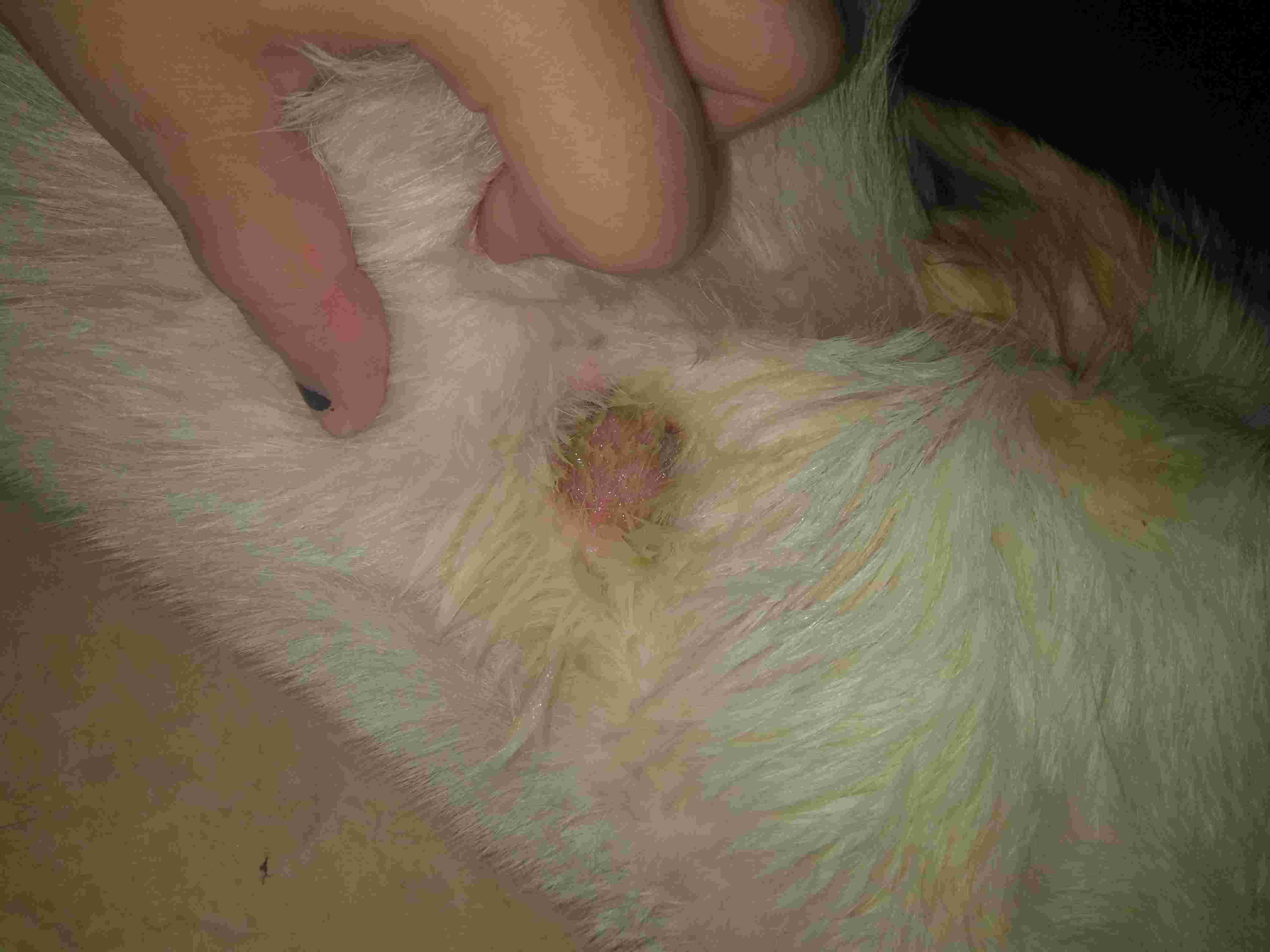 Question details sensitive content