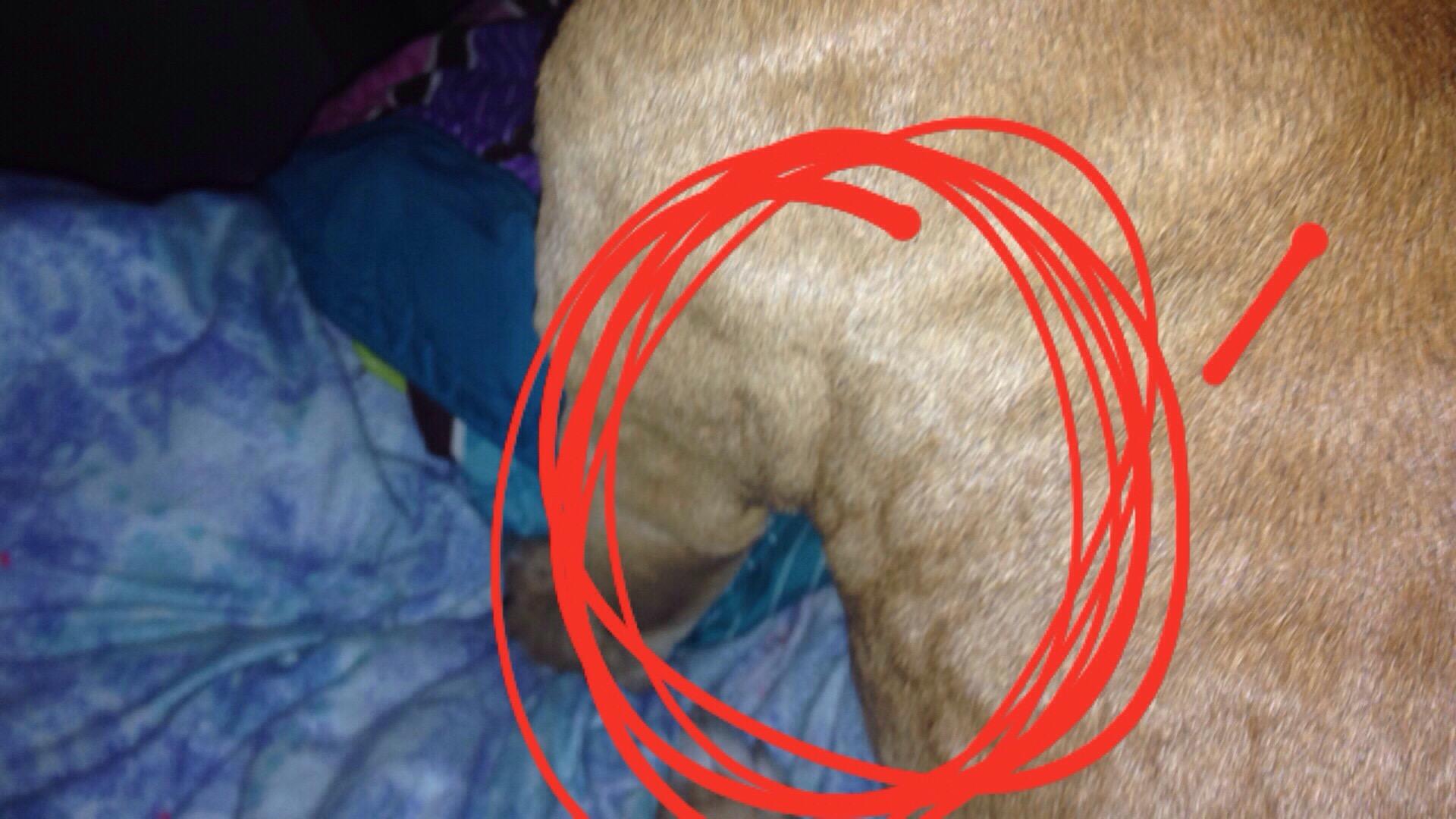 Question details sensitive content