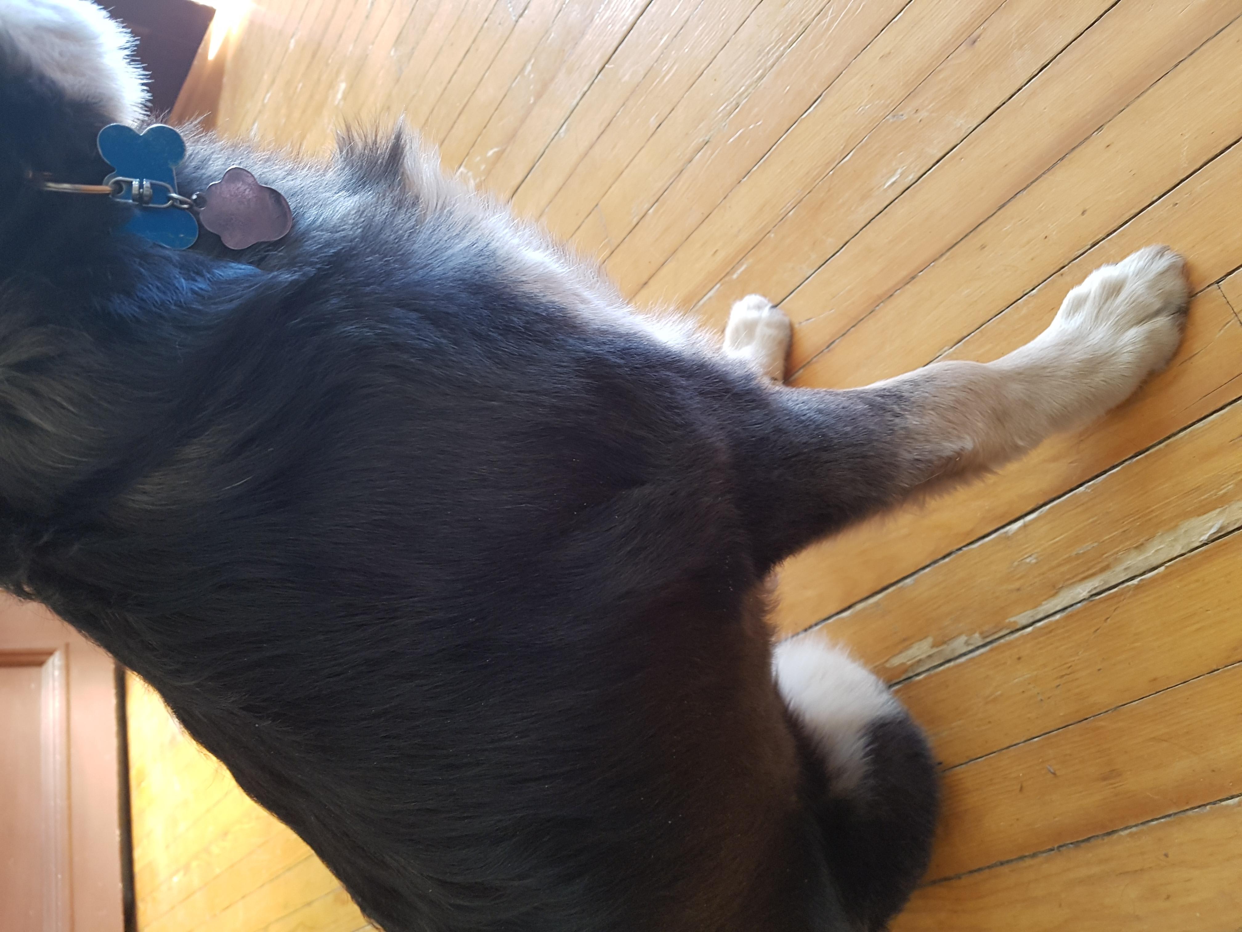 Question details sensitive content