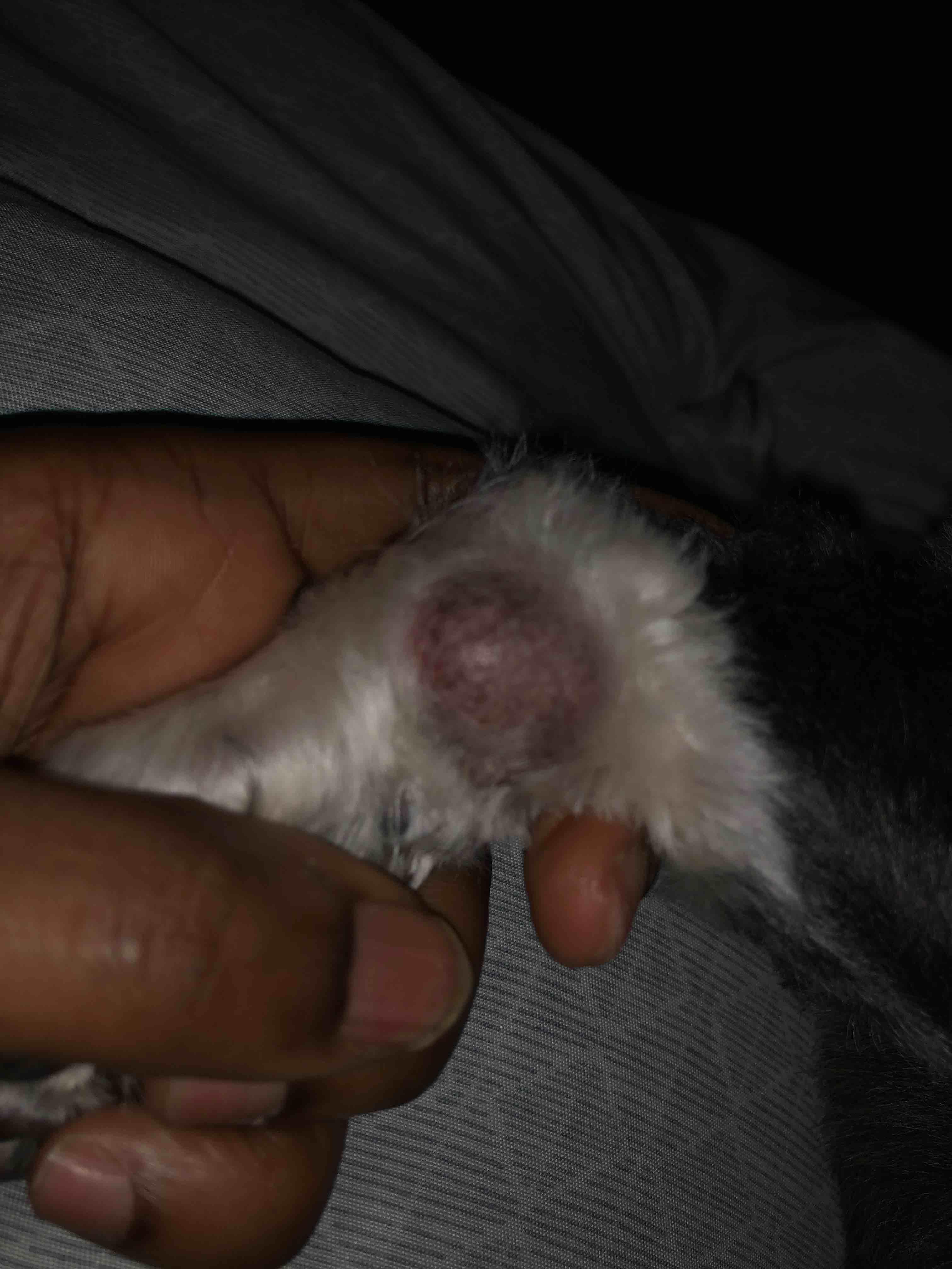 Question details sensitive content