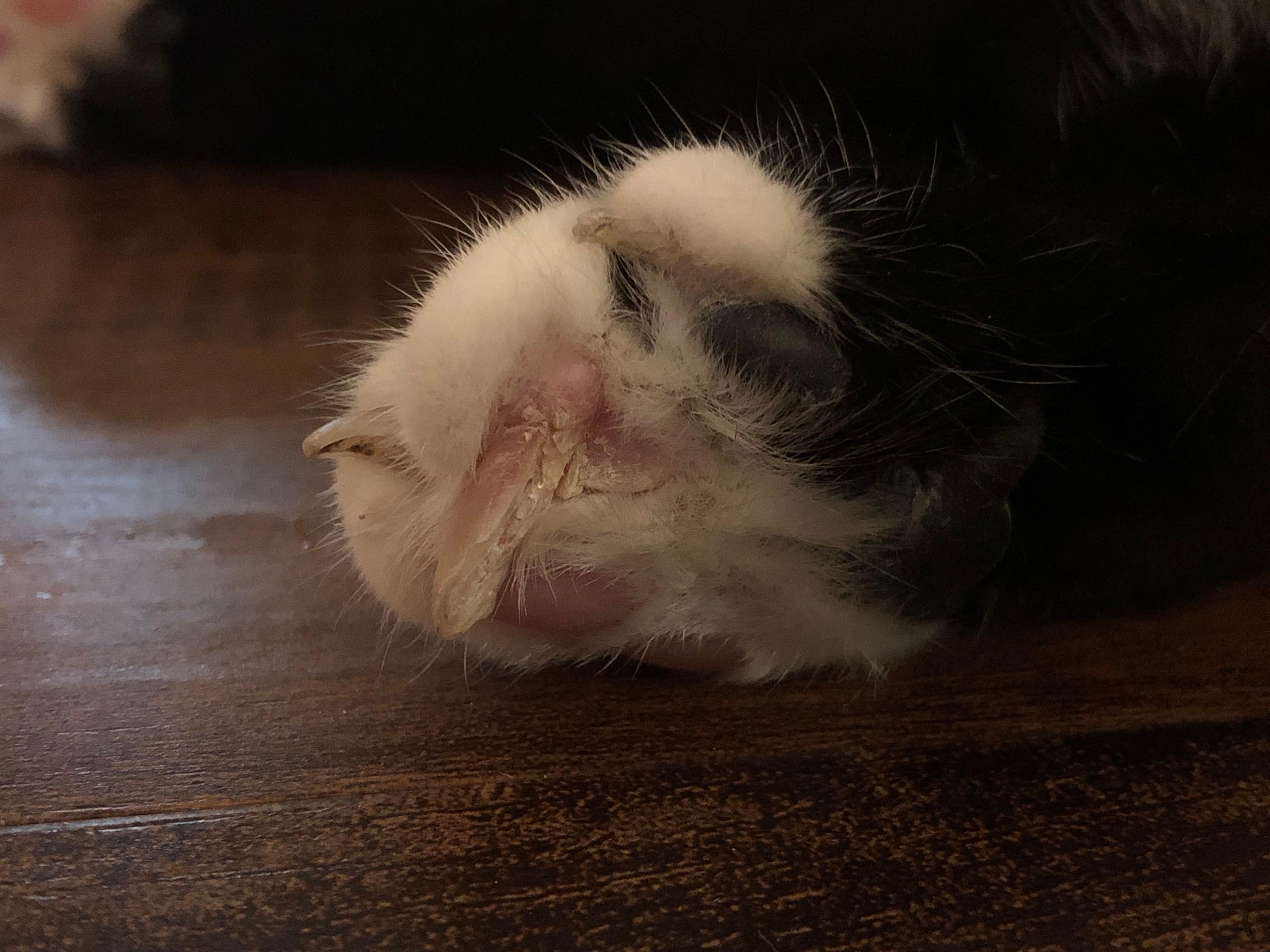 Question details sensitive content