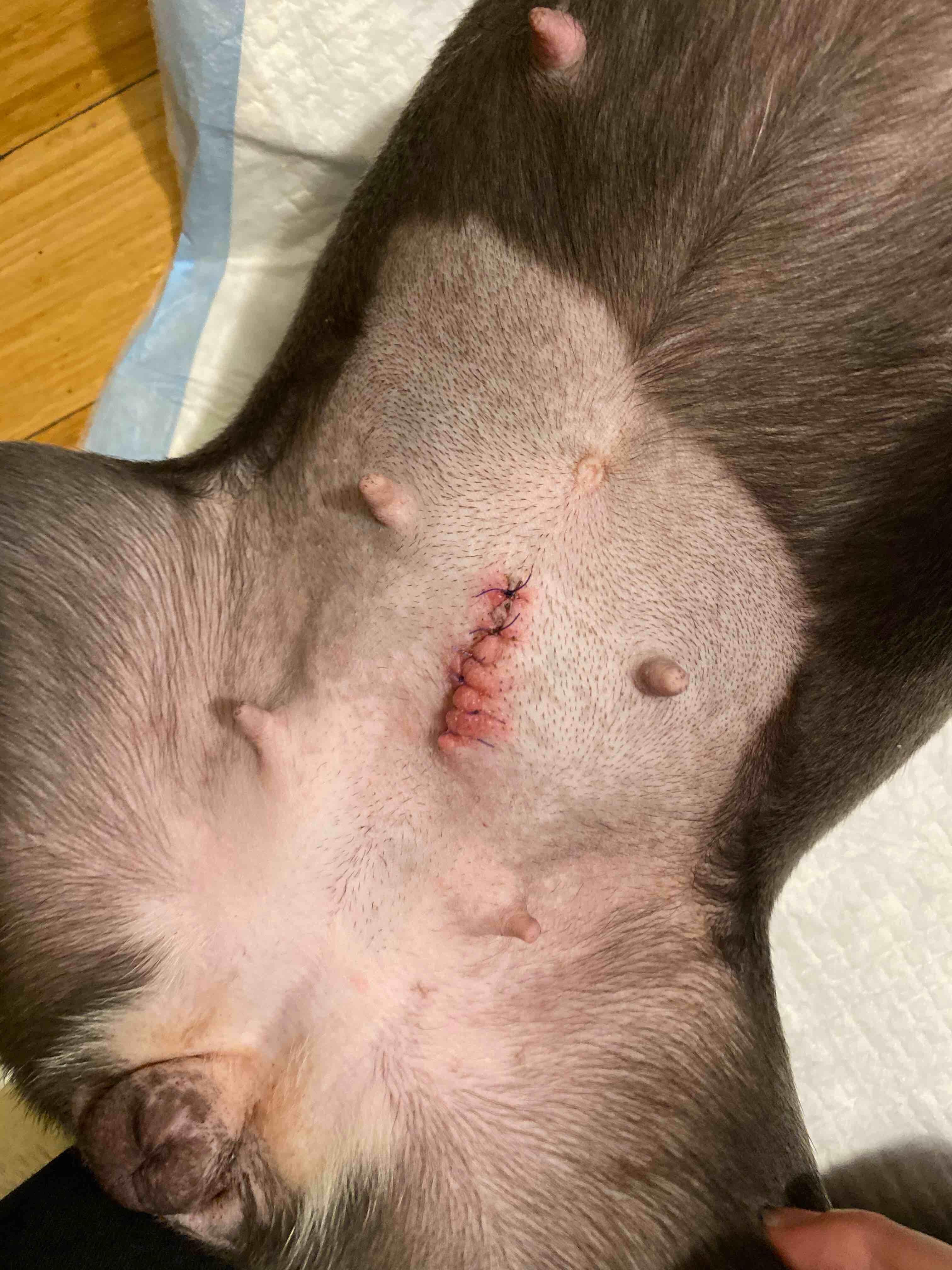 Question details sensitive content