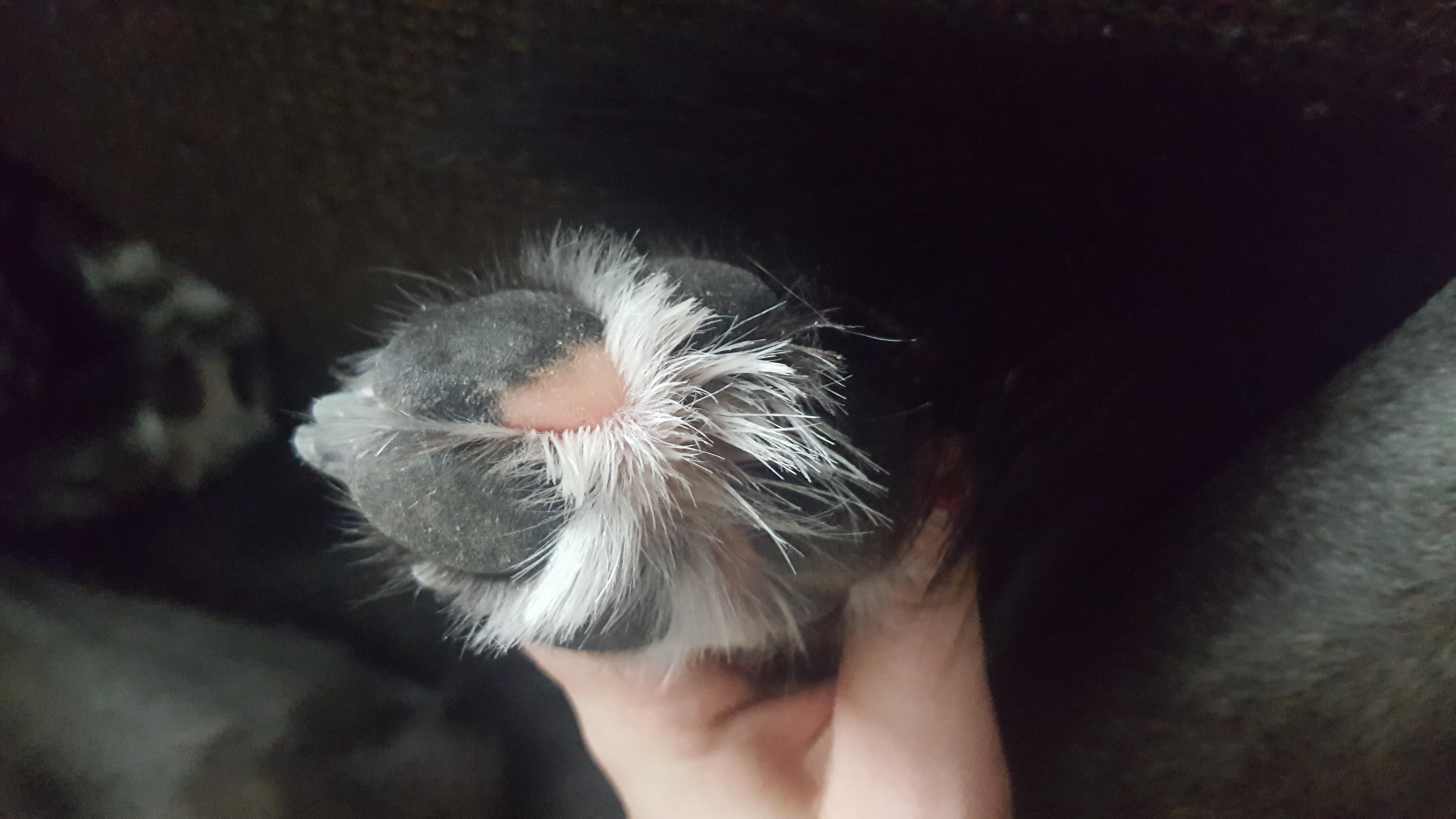 Question details sensitive content