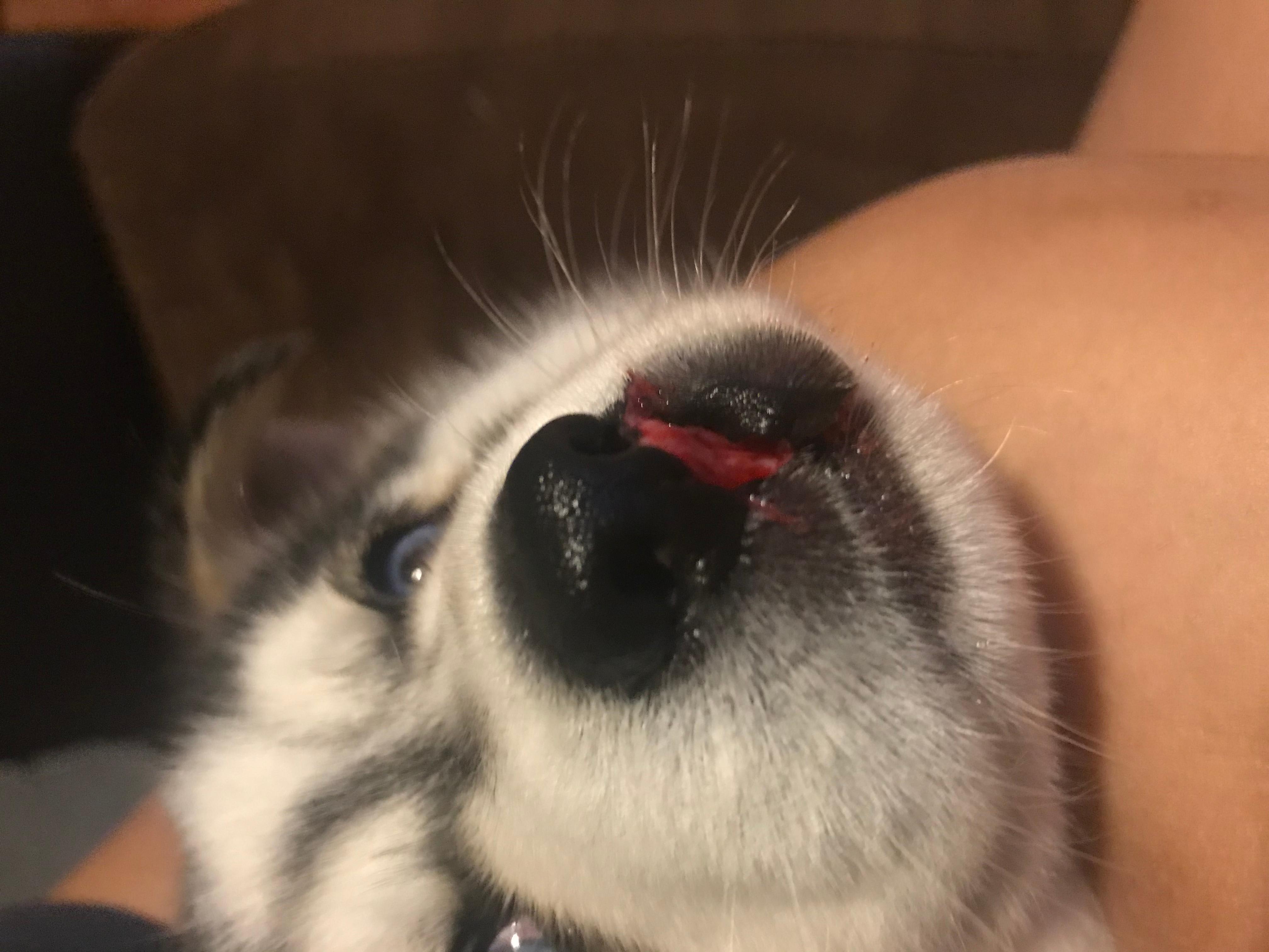 Question details sensitive content