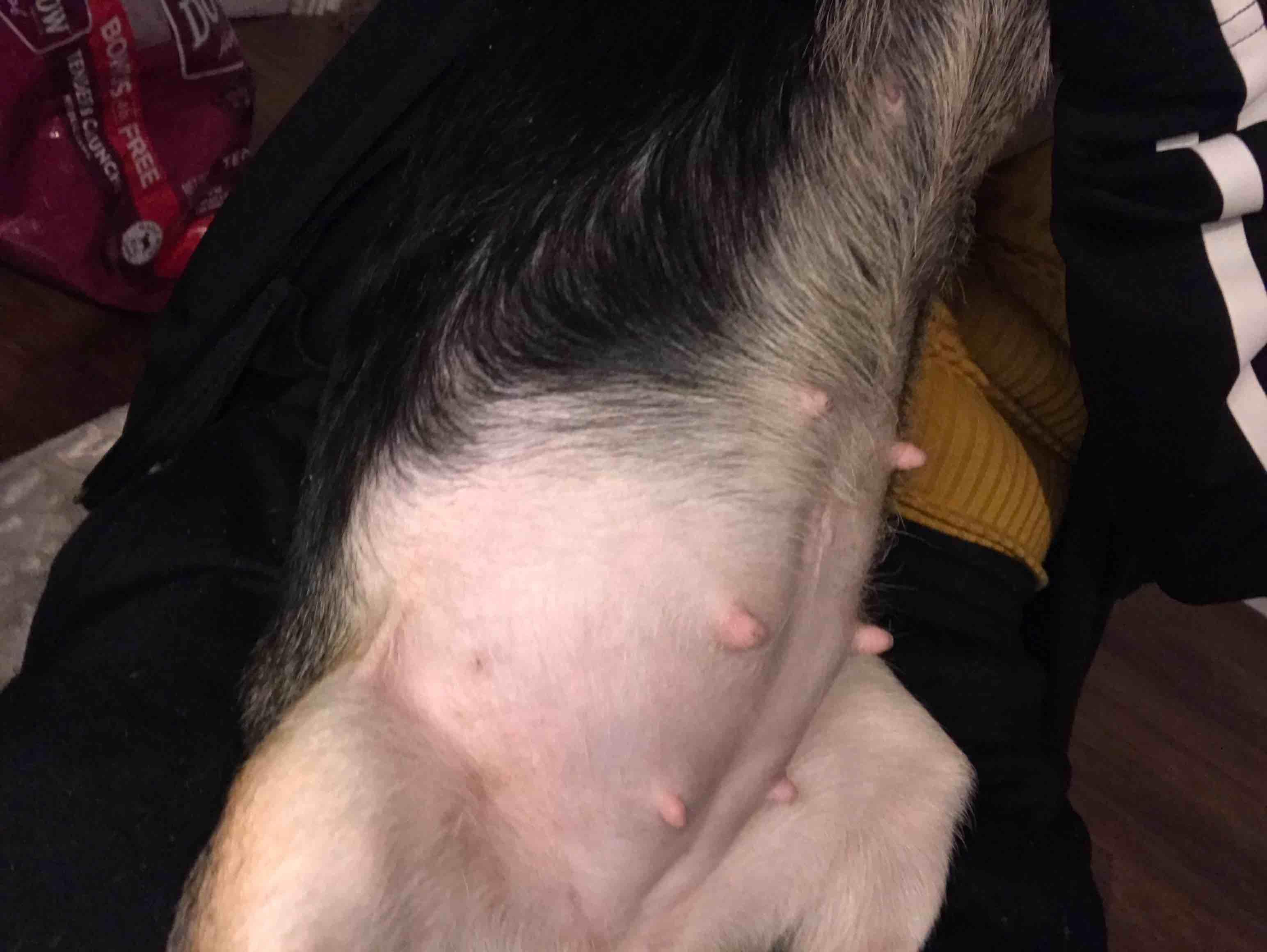 Question details sensitive content