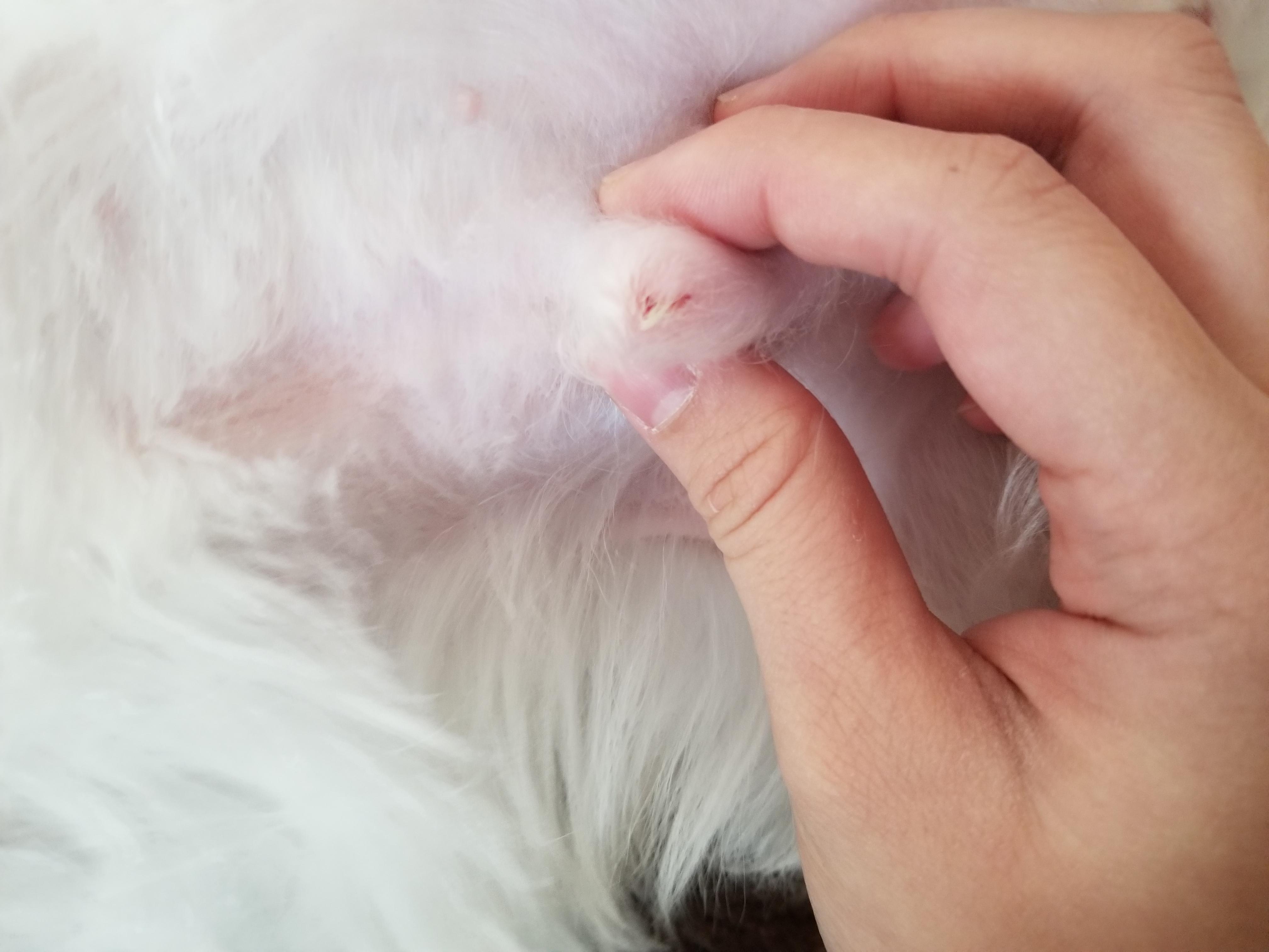 Question details sensitive content