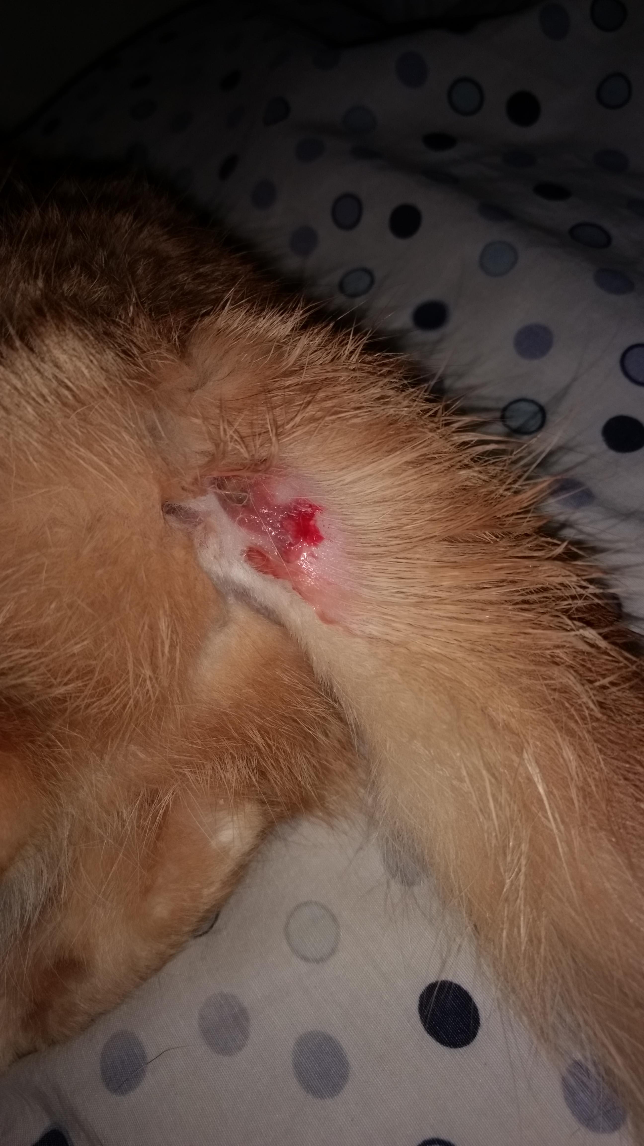 Question details sensitive content