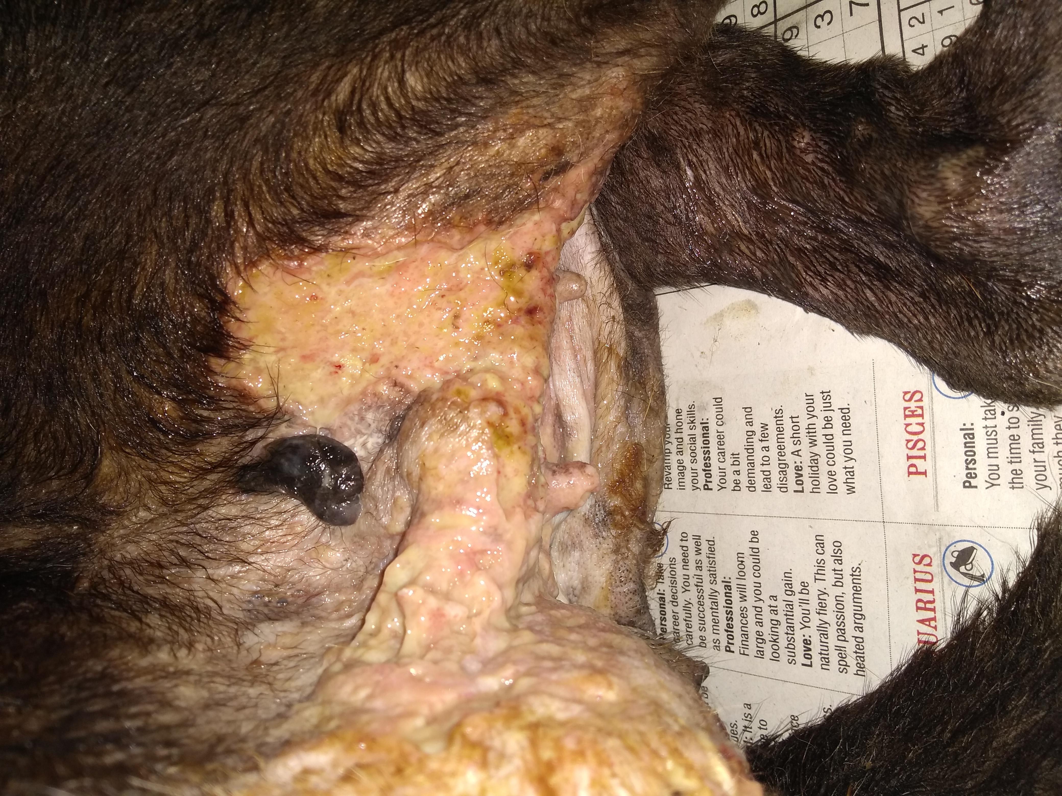 Question details sensitive content