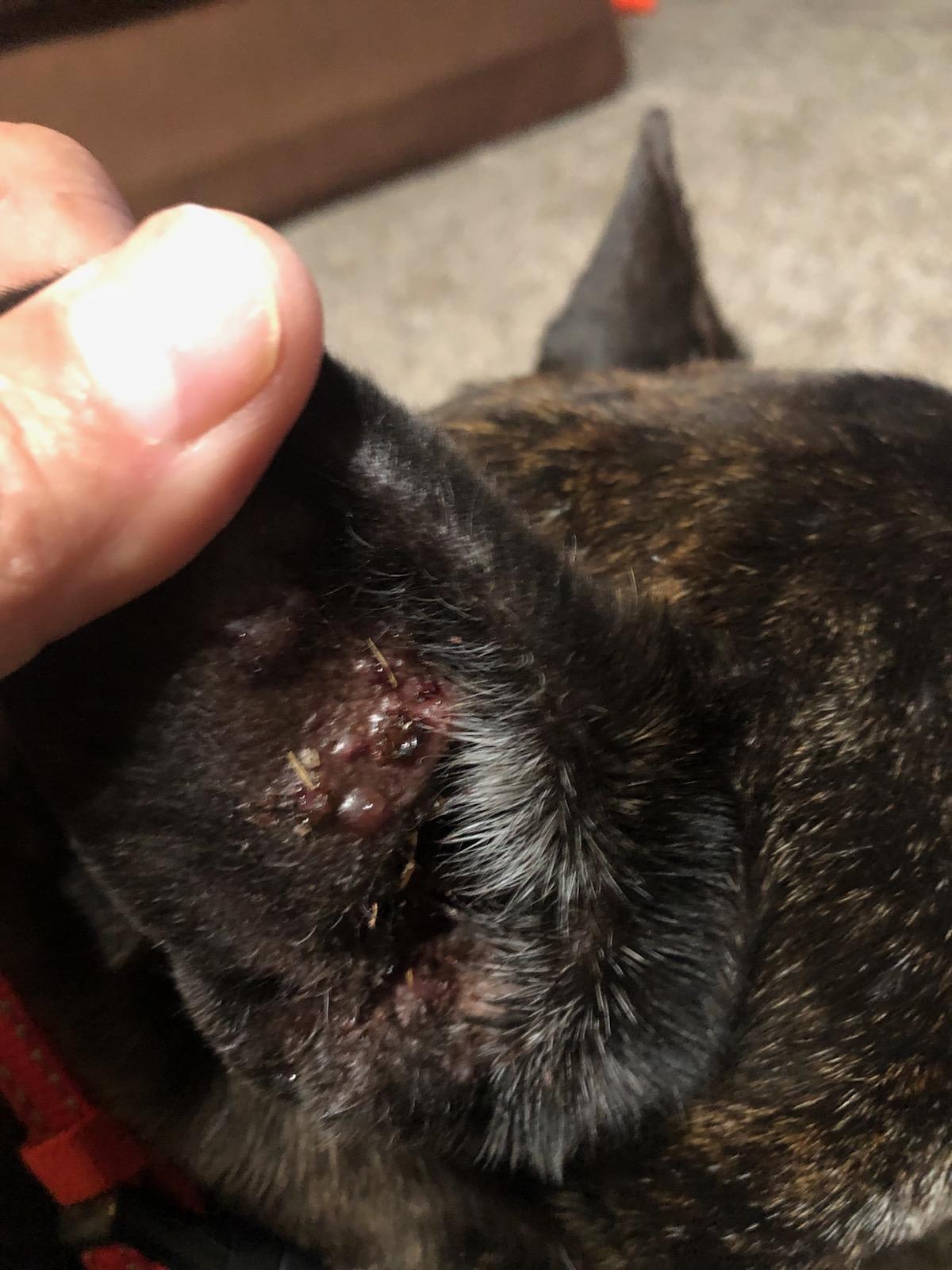 Question details sensitive content