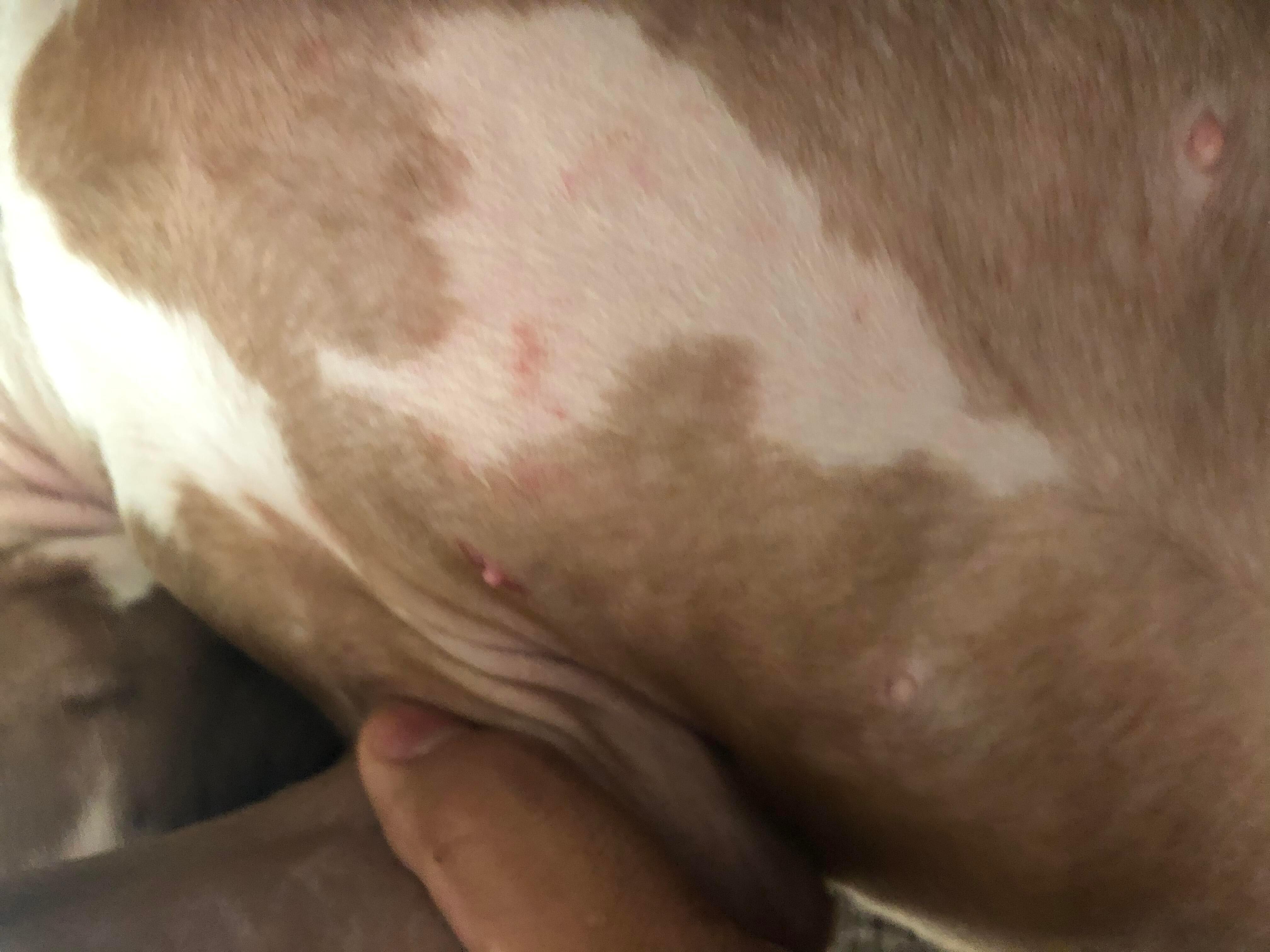 Question details sensitive content