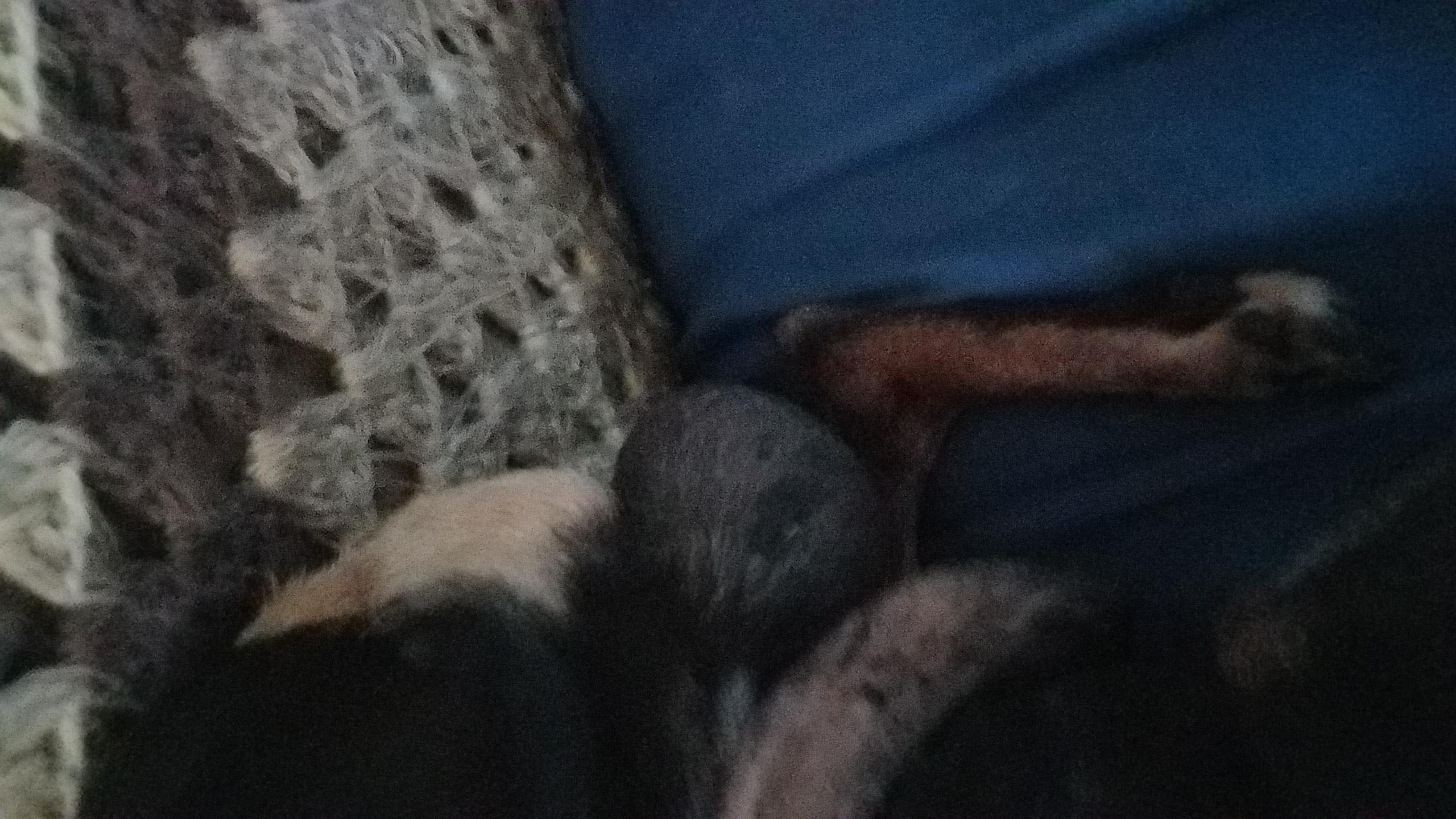 Question details sensitive content