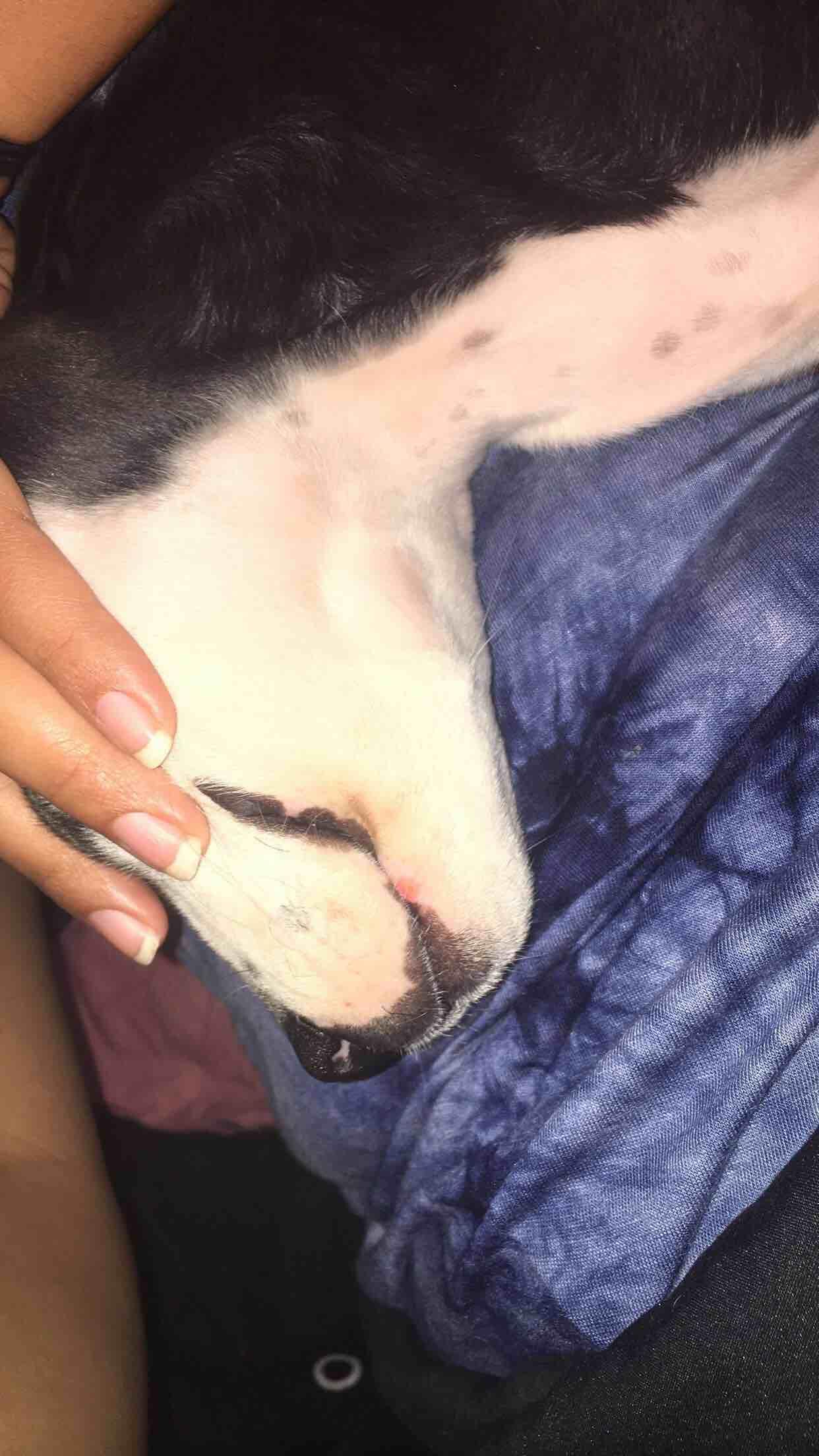 Question details sensitive content