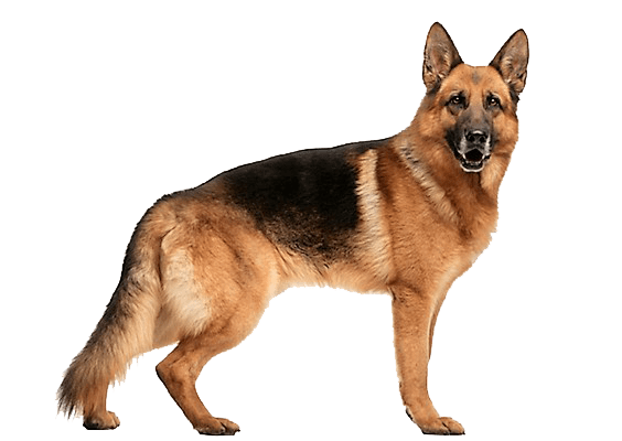 Petco Pet Education Center