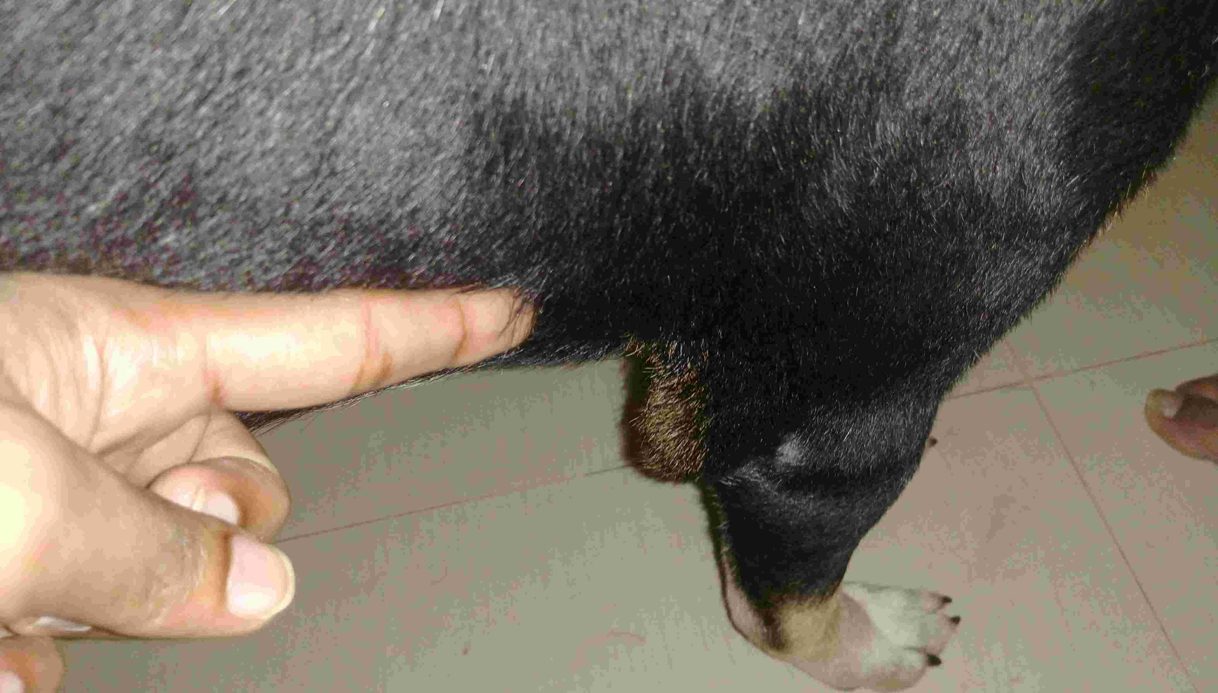 Question details sensitive content