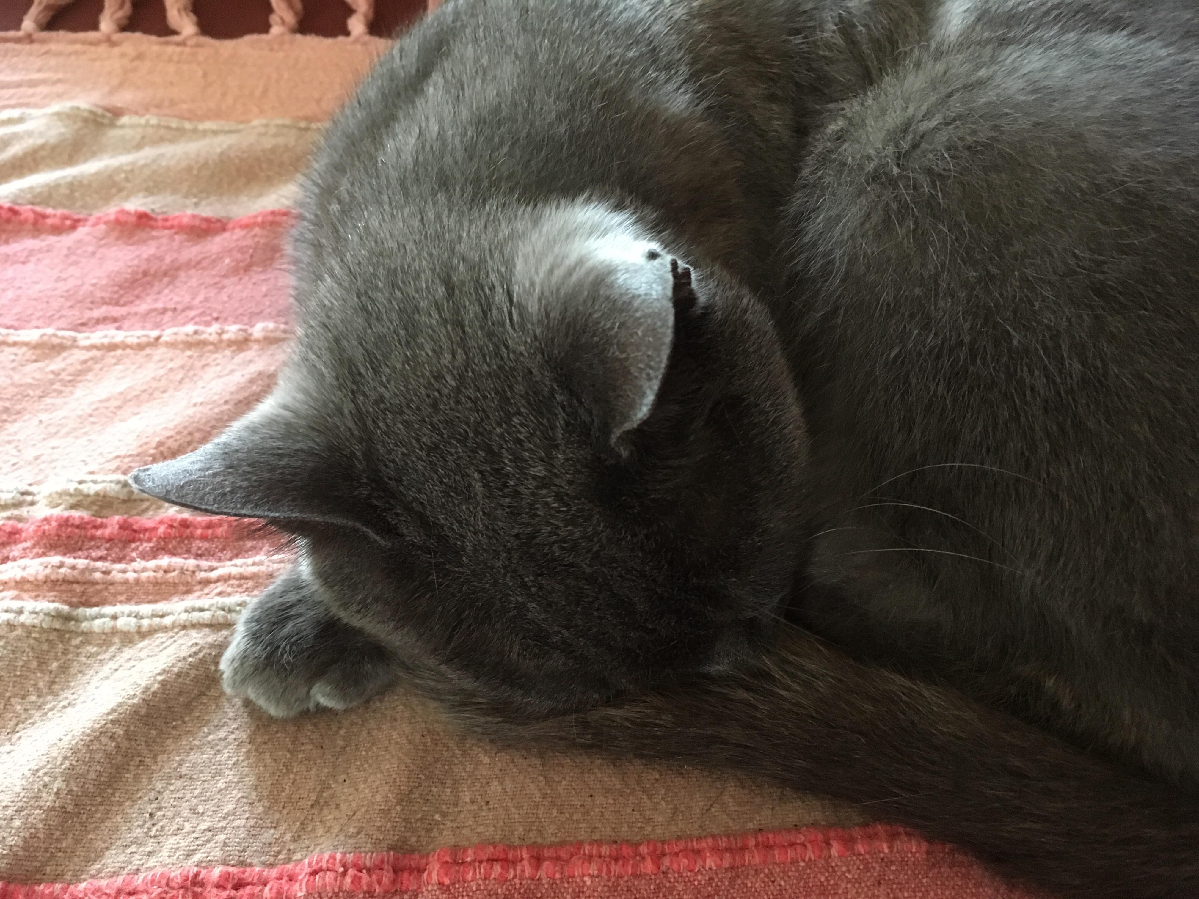 Question details sensitive content