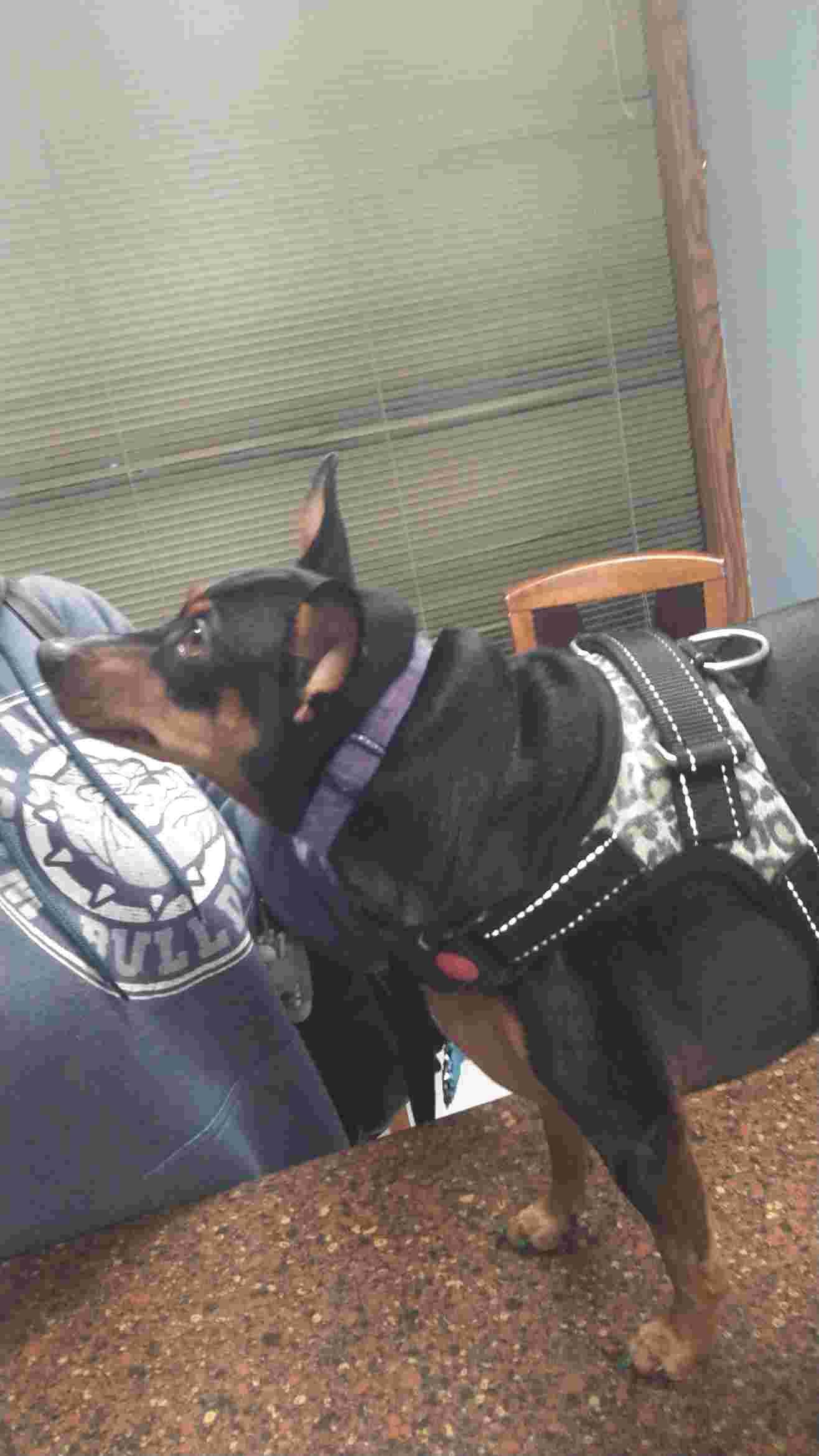 Question details sensitive content