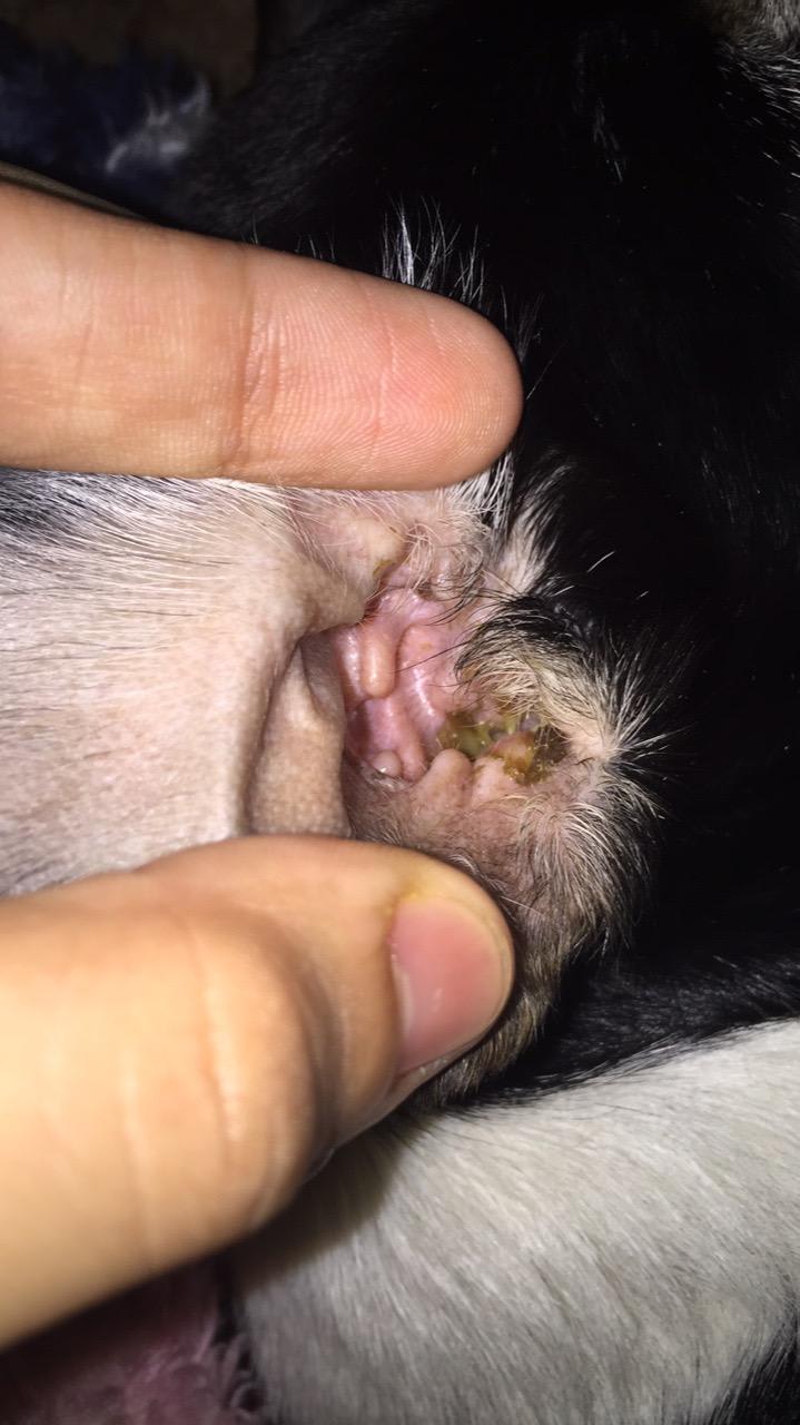 Question details sensitive content