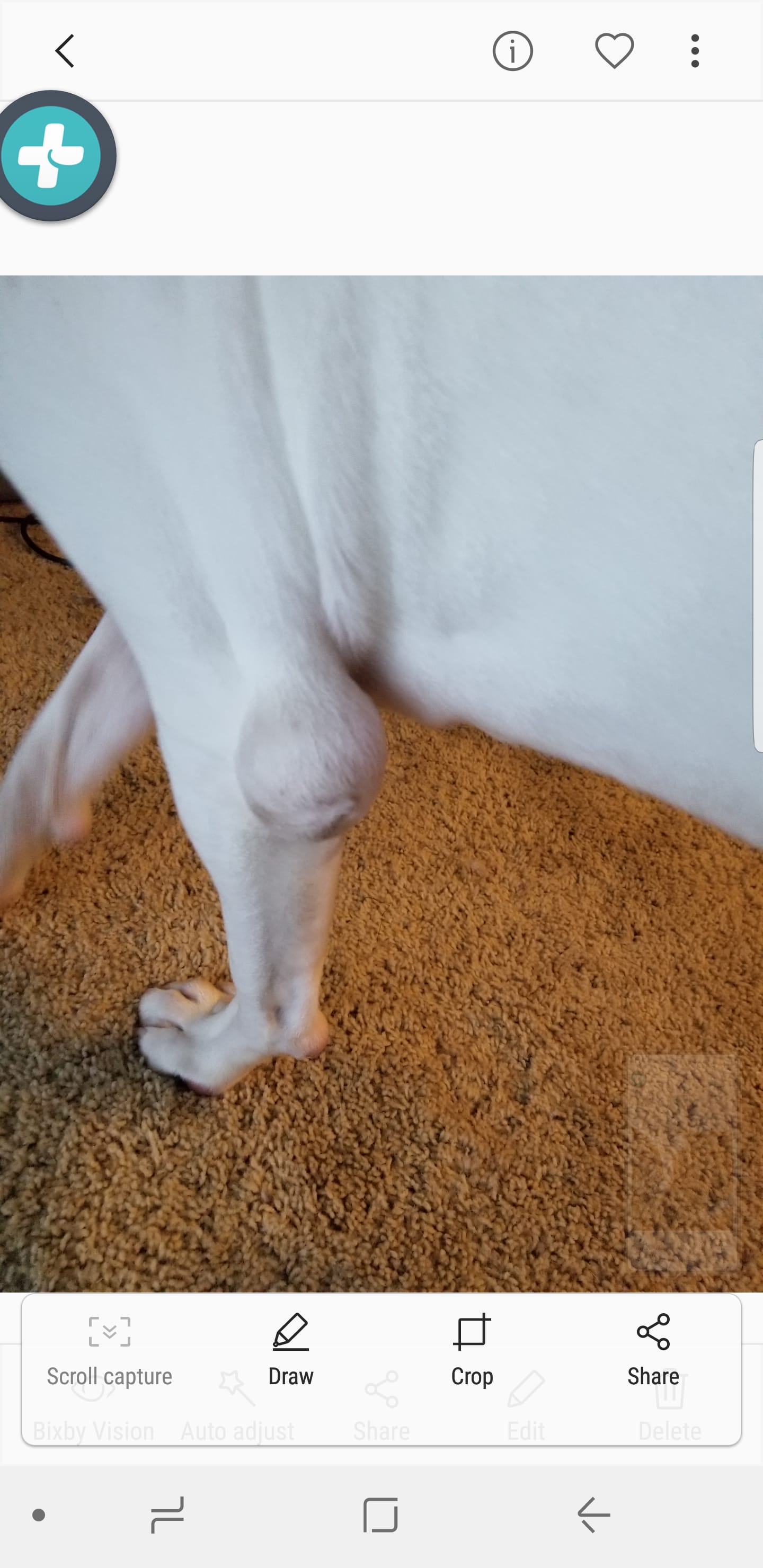 Question details sensitive content