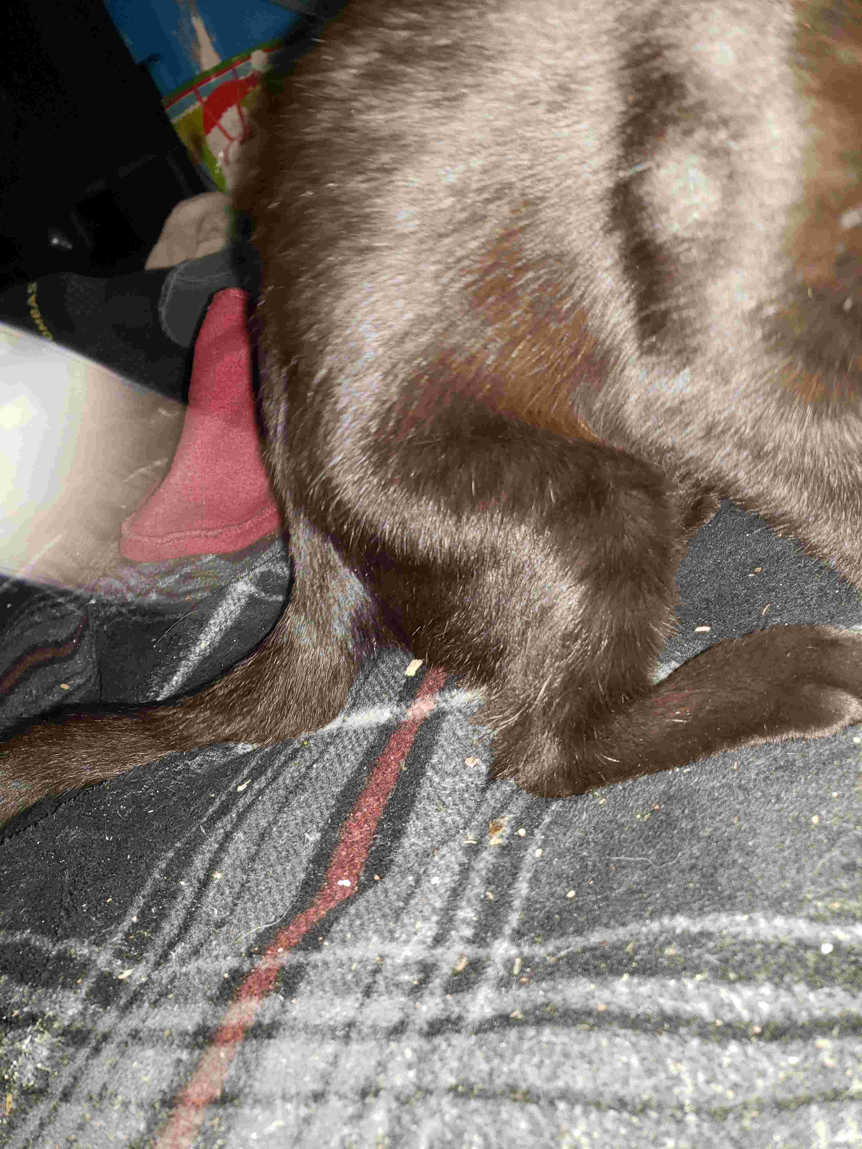 Question details sensitive content