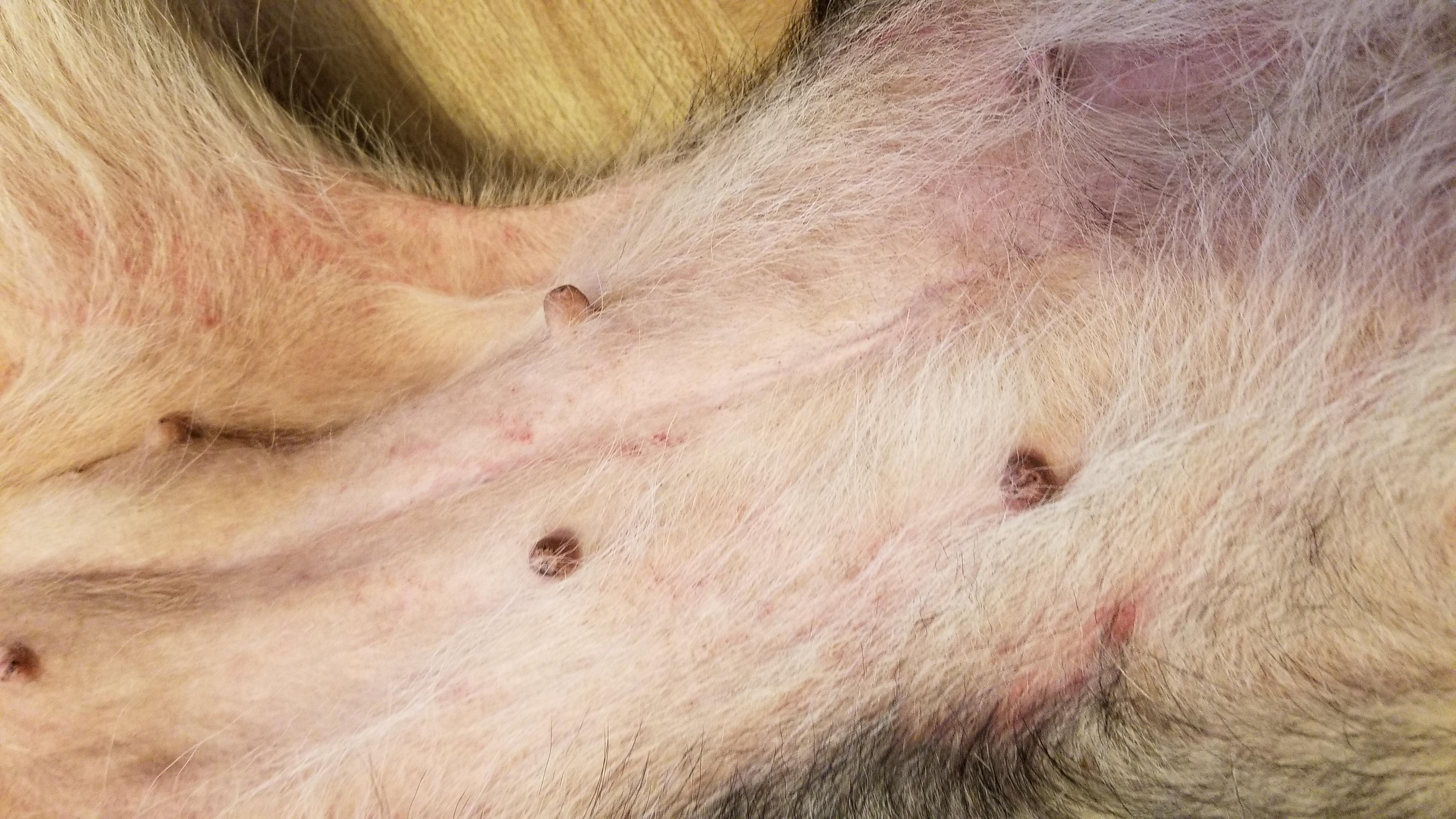 Question details sensitive content