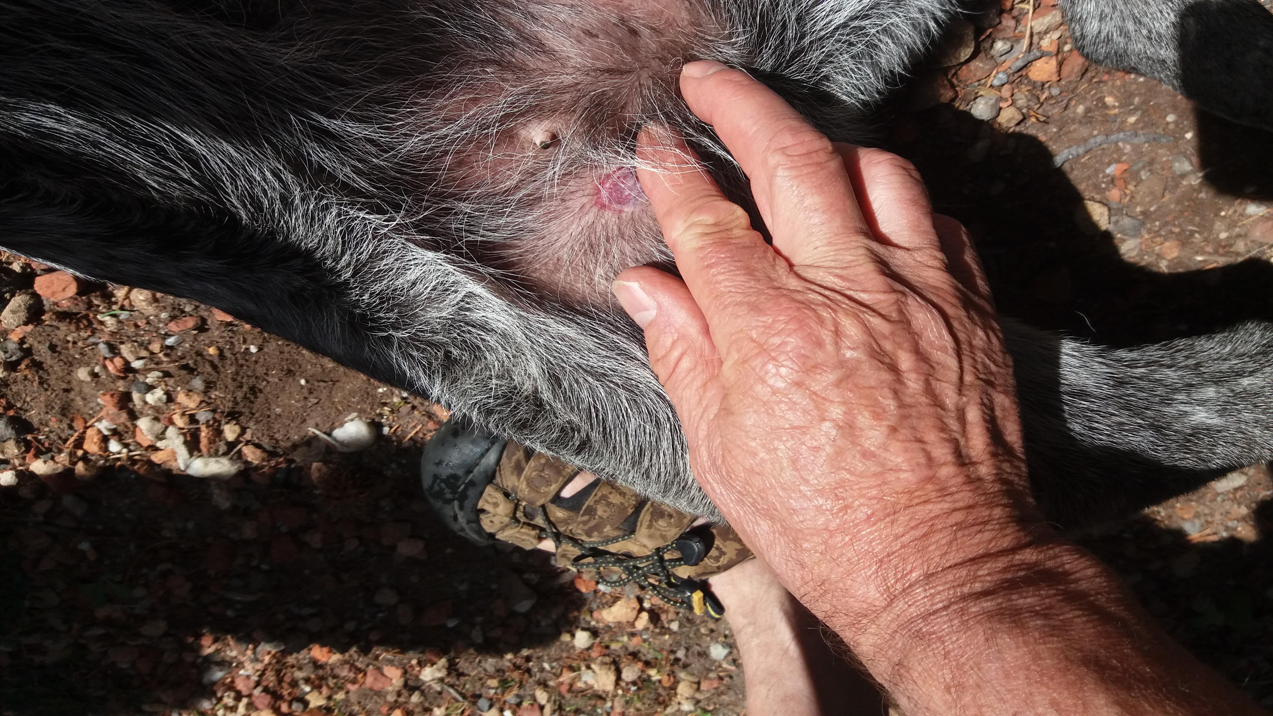 Question details sensitive content