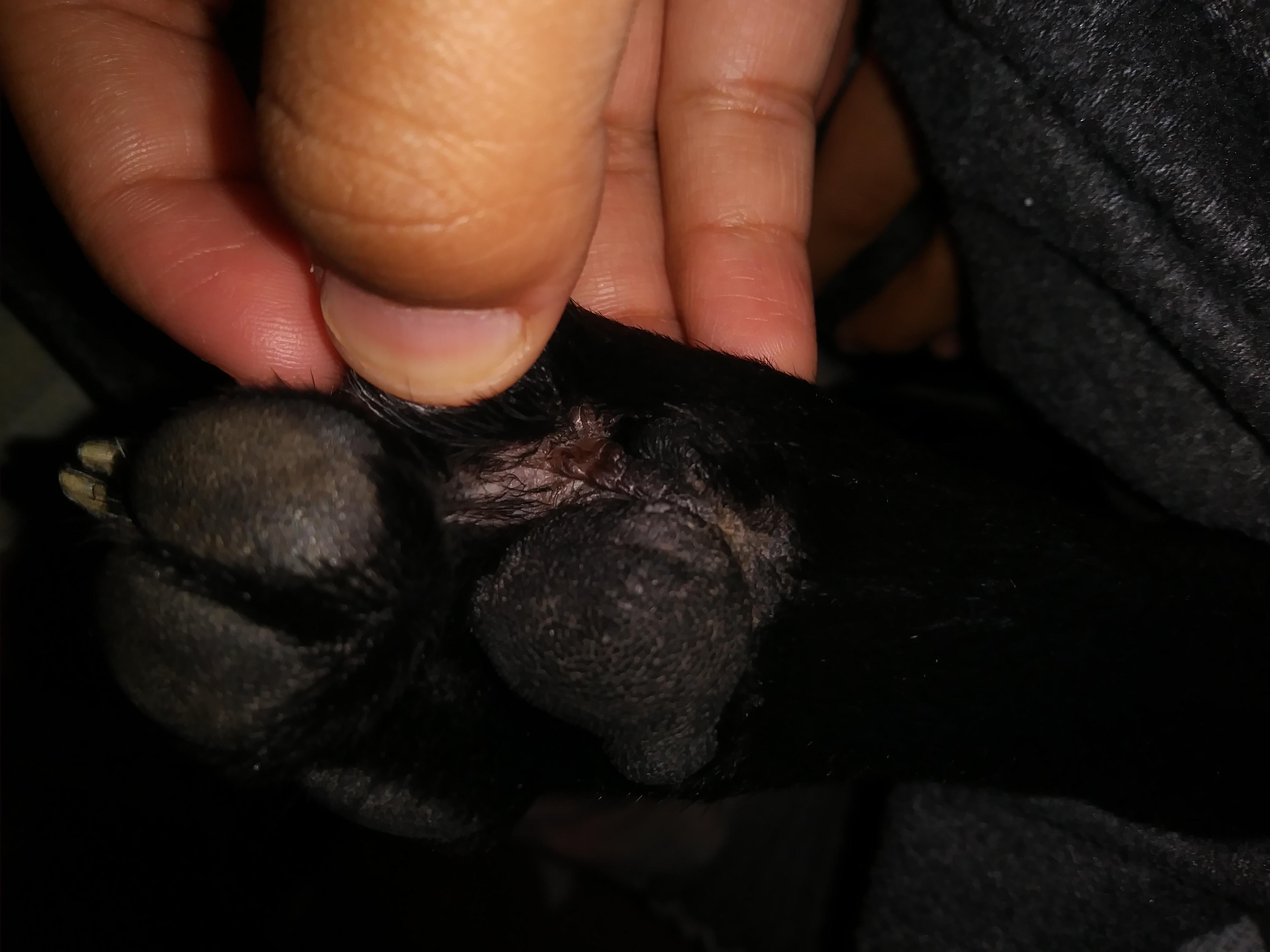 Question details sensitive content